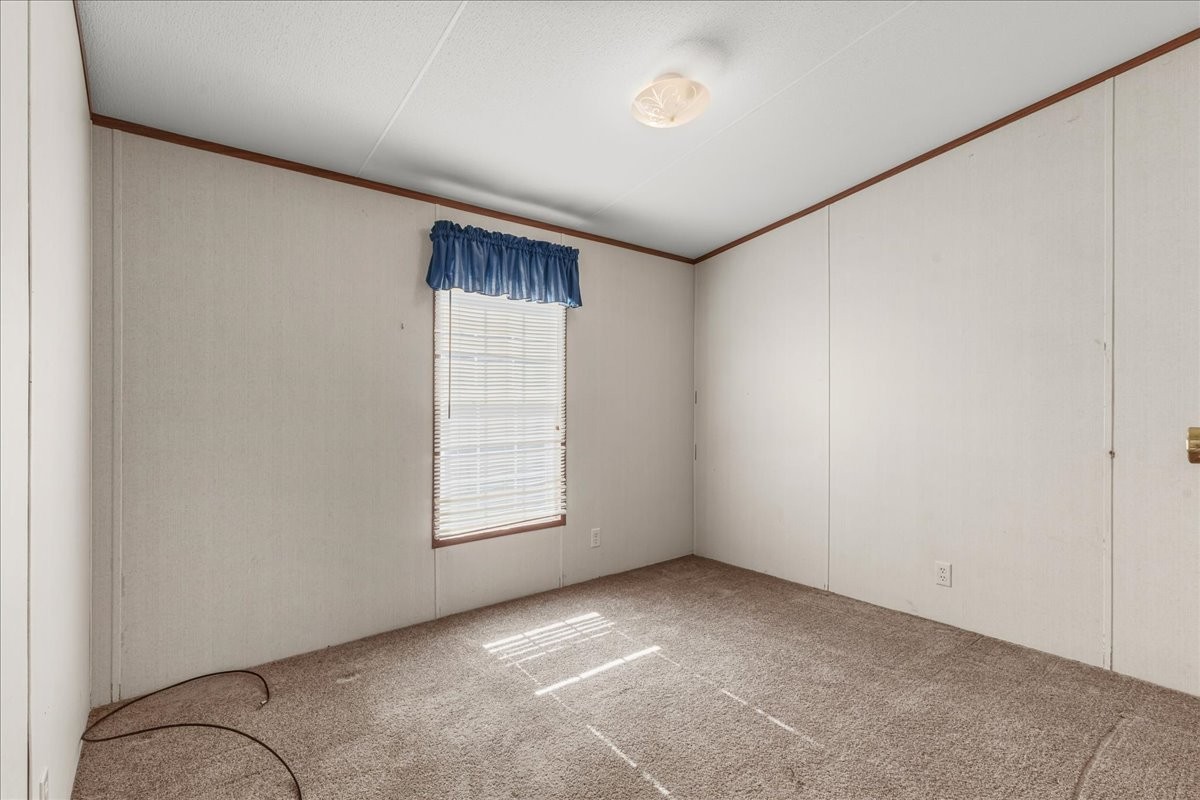 159 County Road 139 Property Photo 16