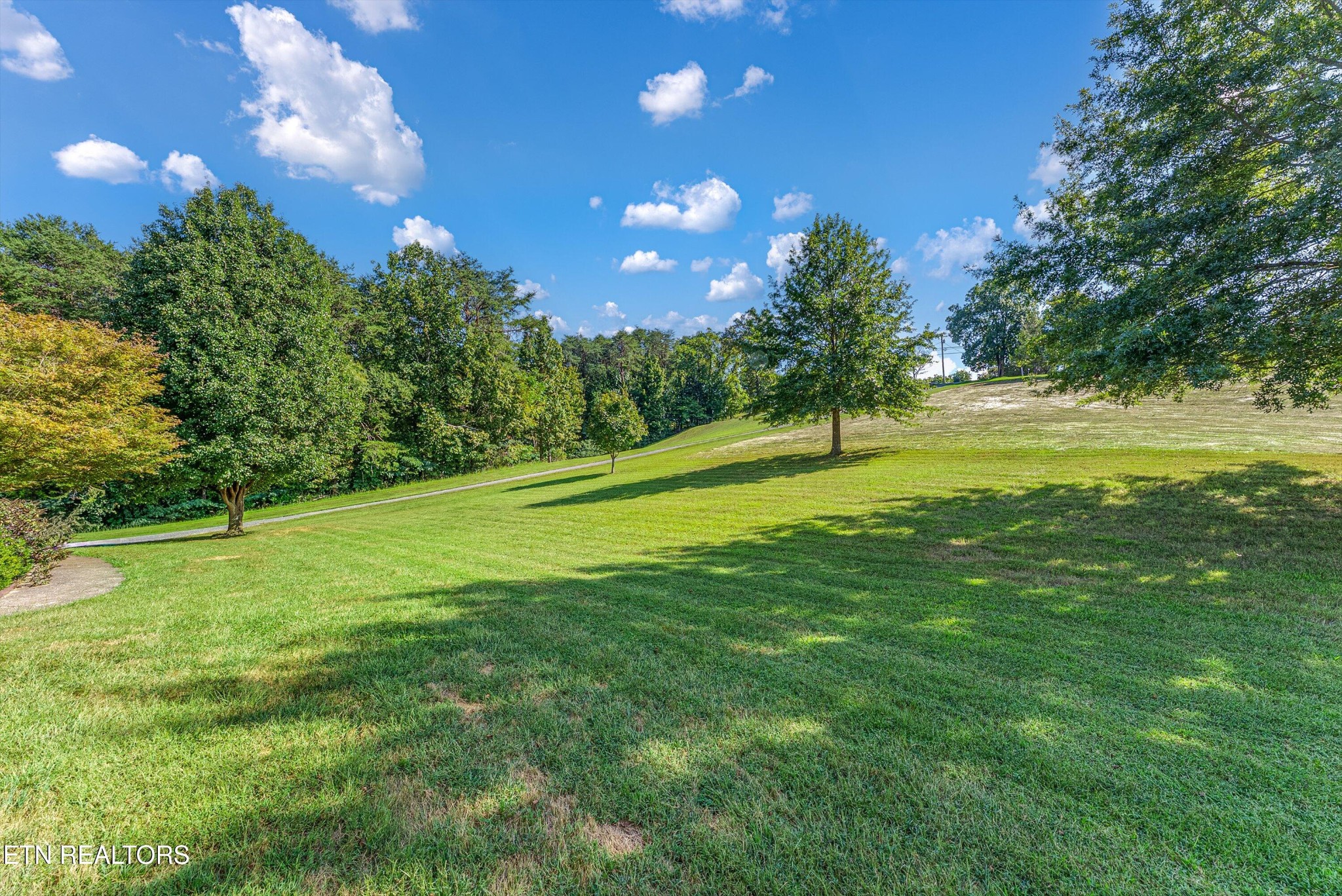 1789 Tater Hill Rd Property Photo 7