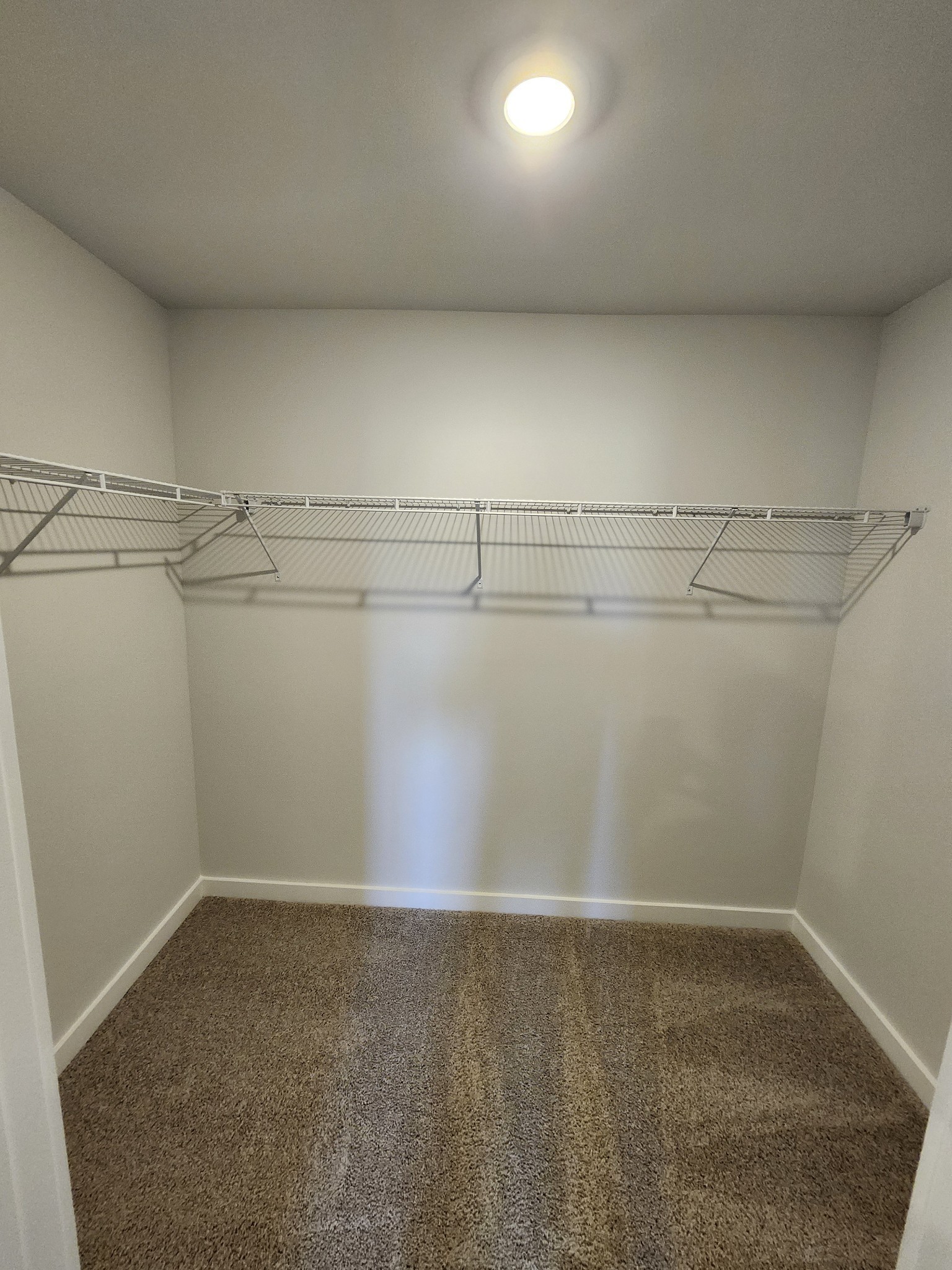 2045 Coriander Lane Property Photo 34