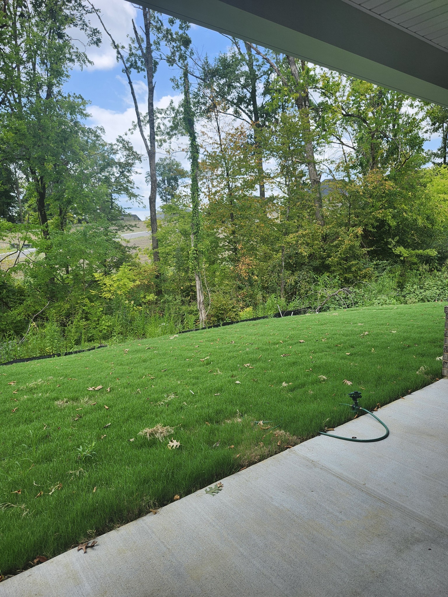 2013 Coriander Lane Property Photo 54