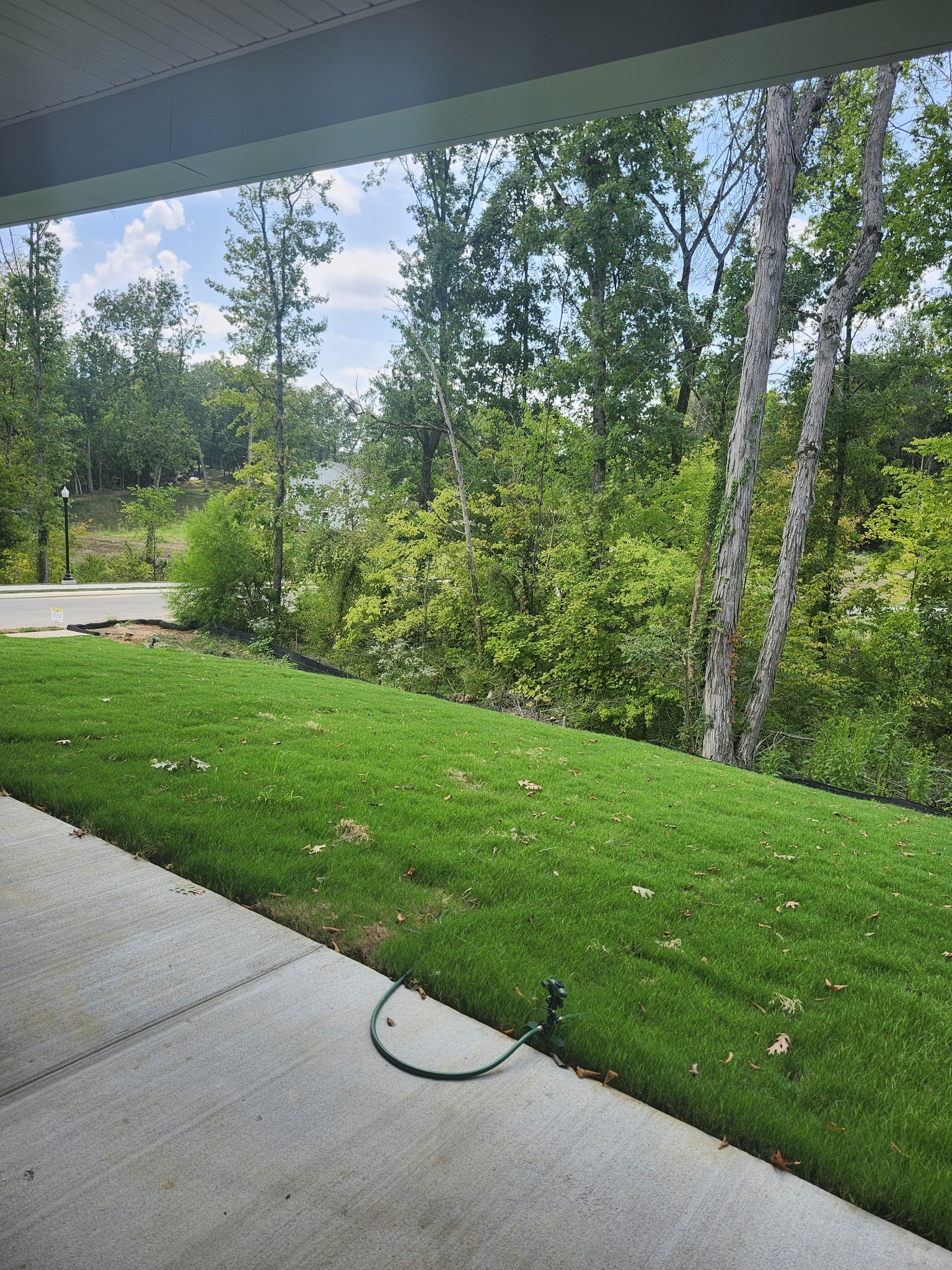 2013 Coriander Lane Property Photo 55