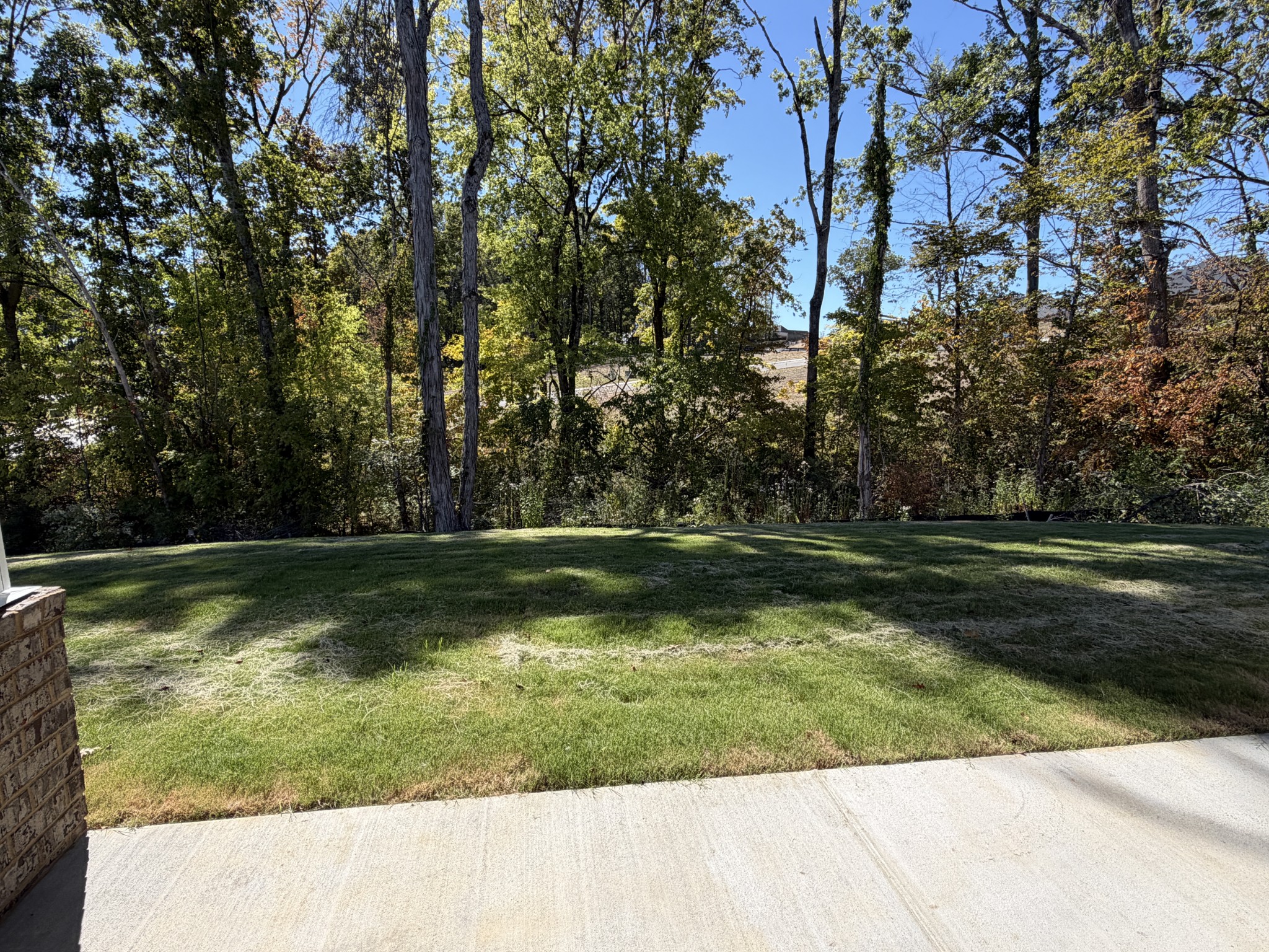2013 Coriander Lane Property Photo 61