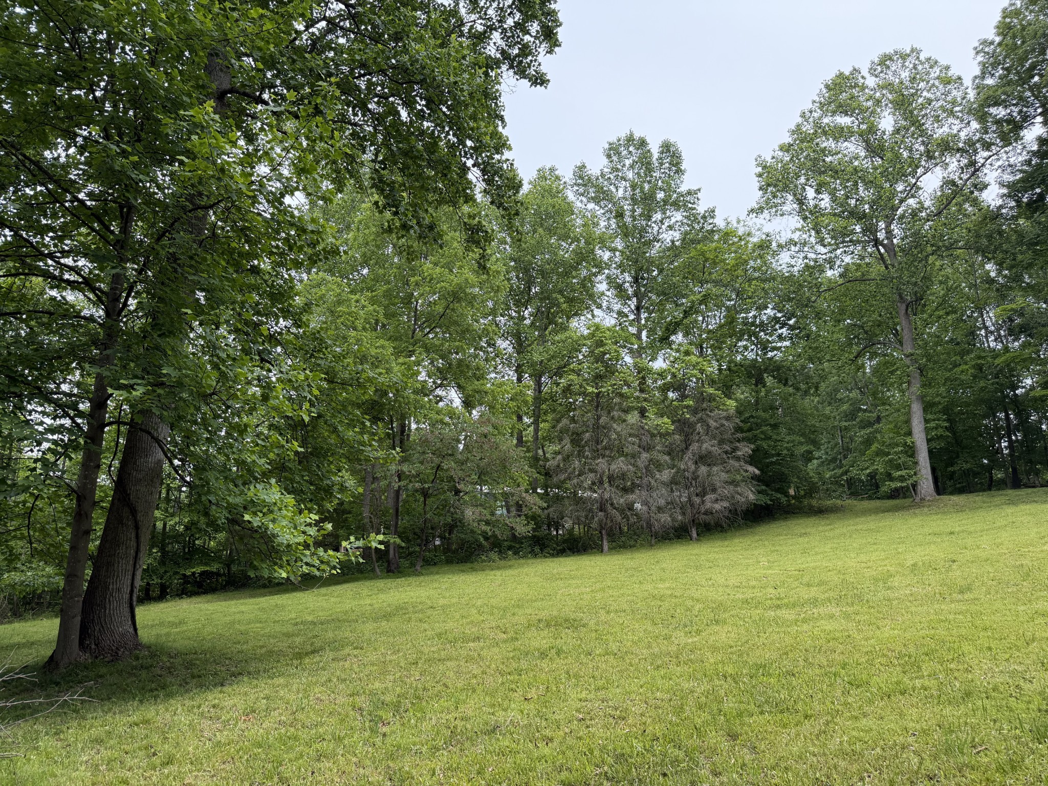 0 Mud Hollow Rd Property Photo 1