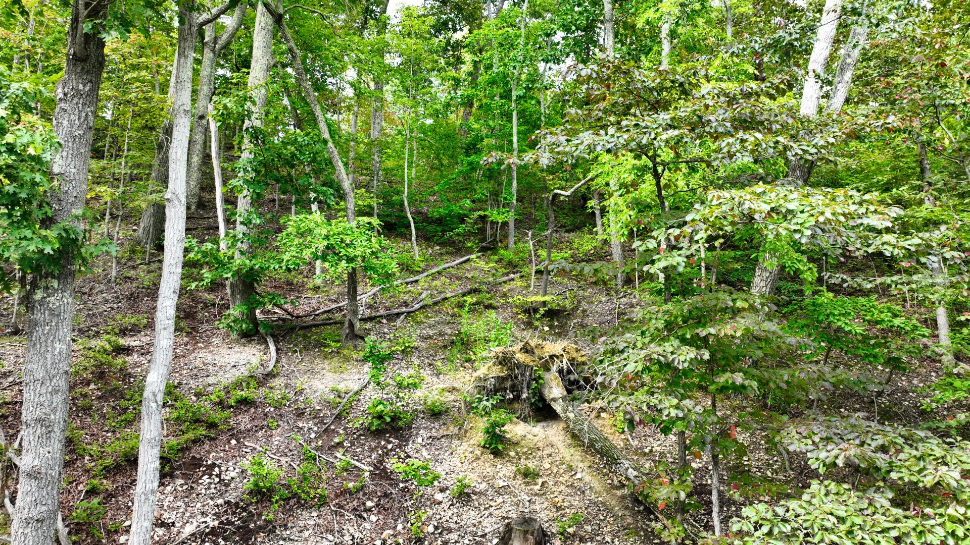1 Ridge Top Rd Property Photo 1