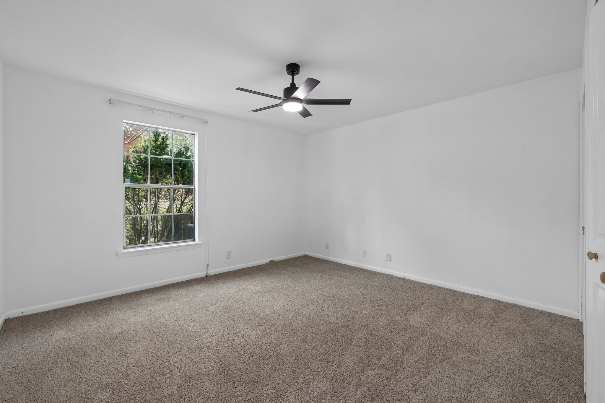 2116 Hobbs Rd Property Photo 22