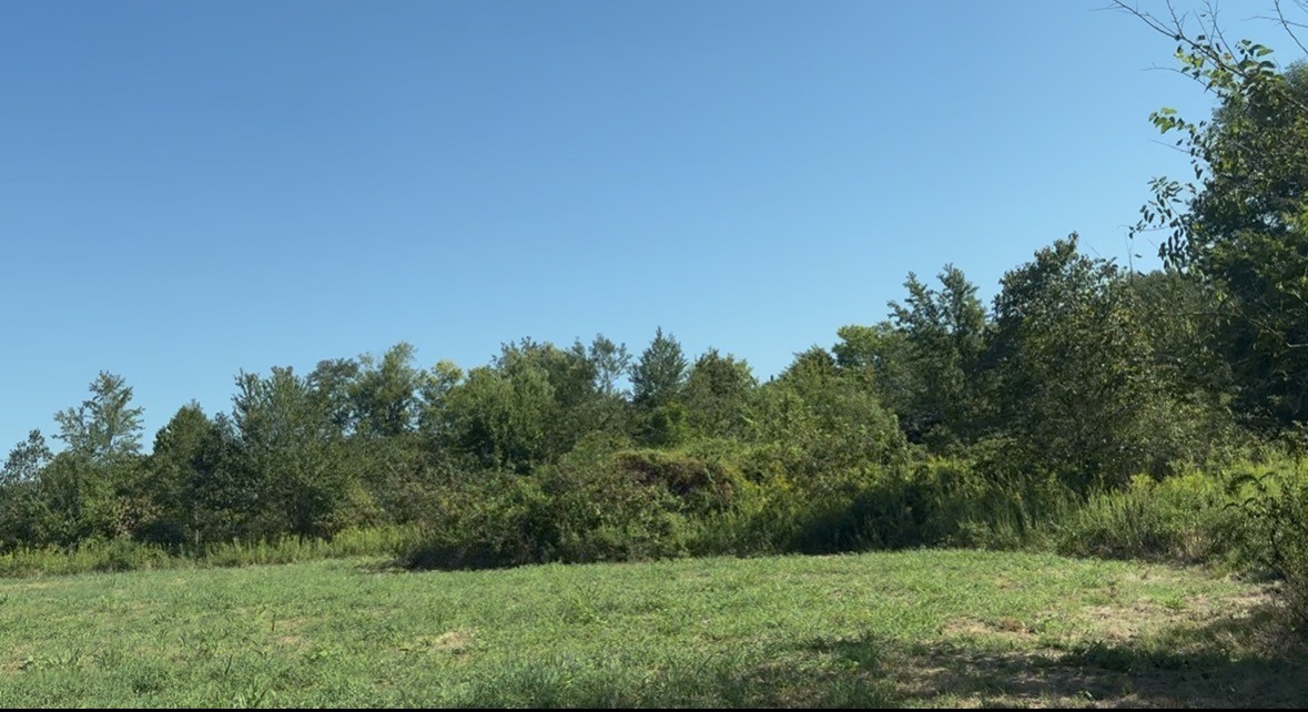 3941 Baggett Rd Property Photo 1
