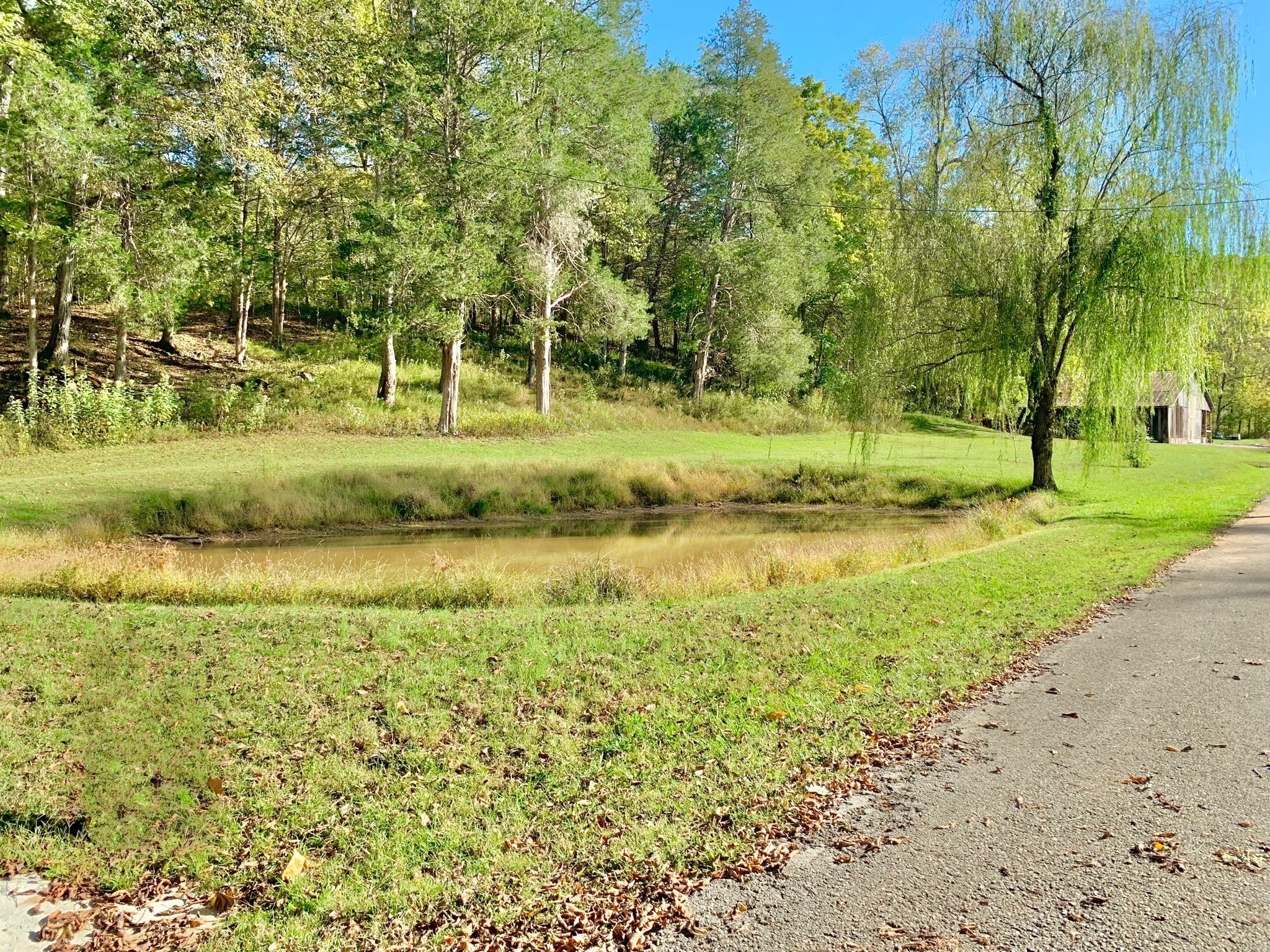 3979 Lem Davis Rd Property Photo 63