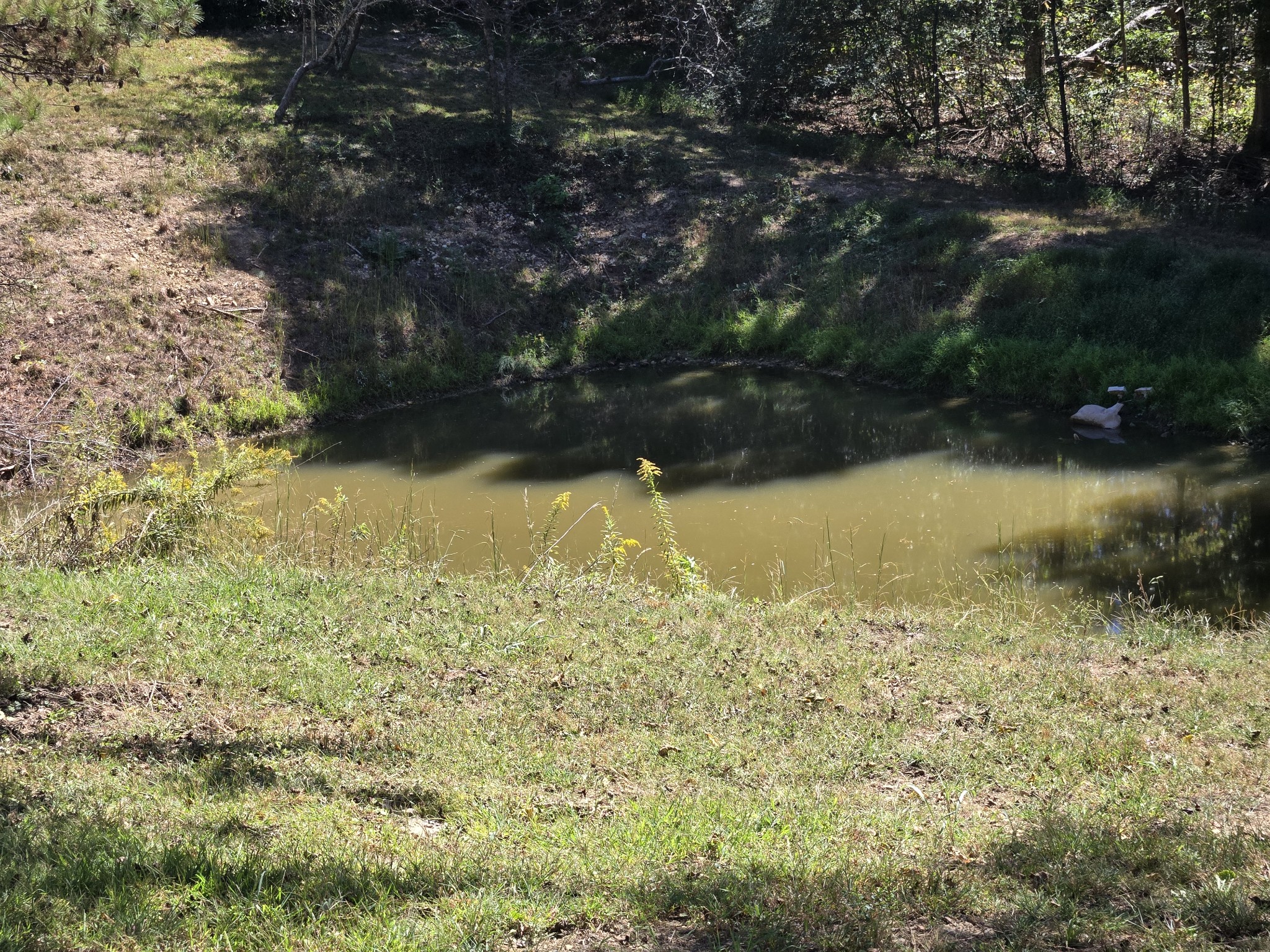237 Brazzle Rd Property Photo 10