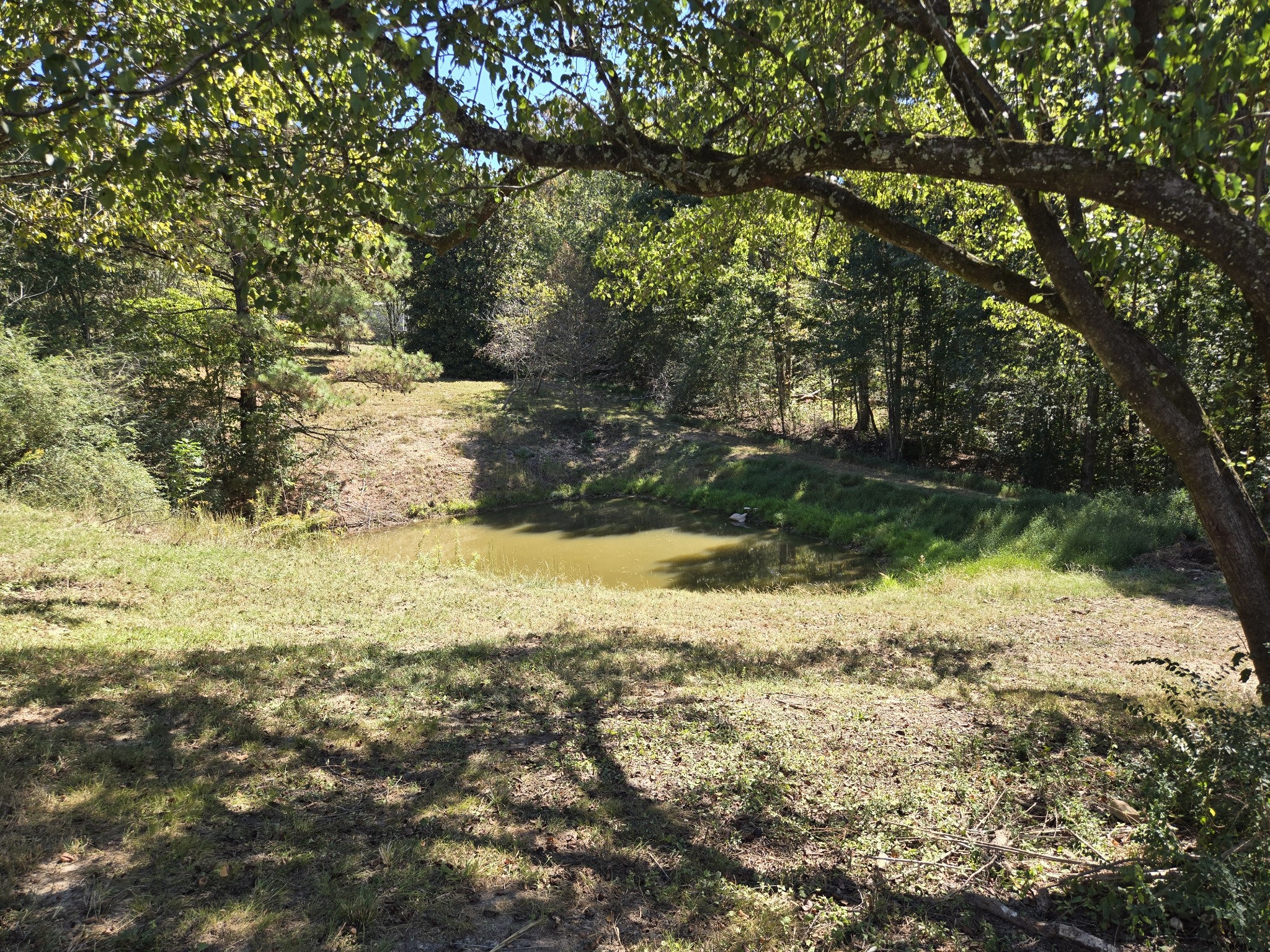 237 Brazzle Rd Property Photo 11