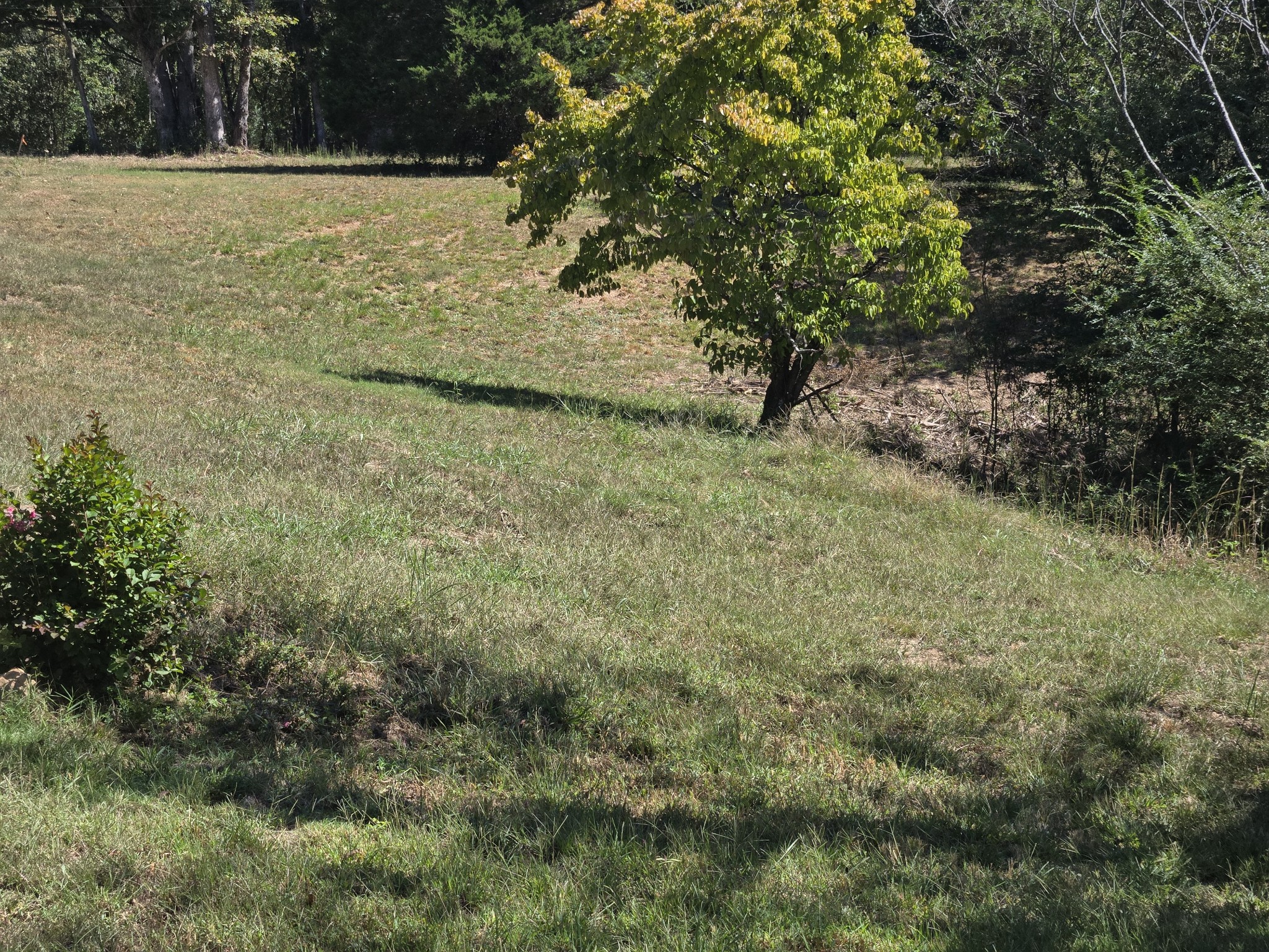 237 Brazzle Rd Property Photo 14