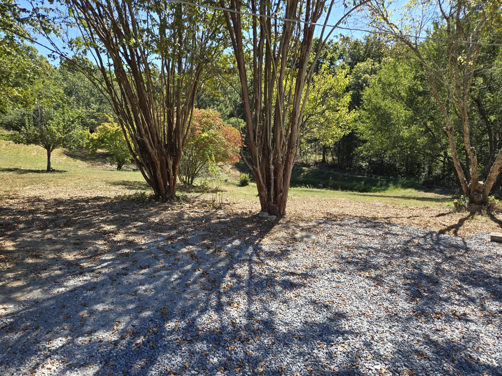 237 Brazzle Rd Property Photo 15