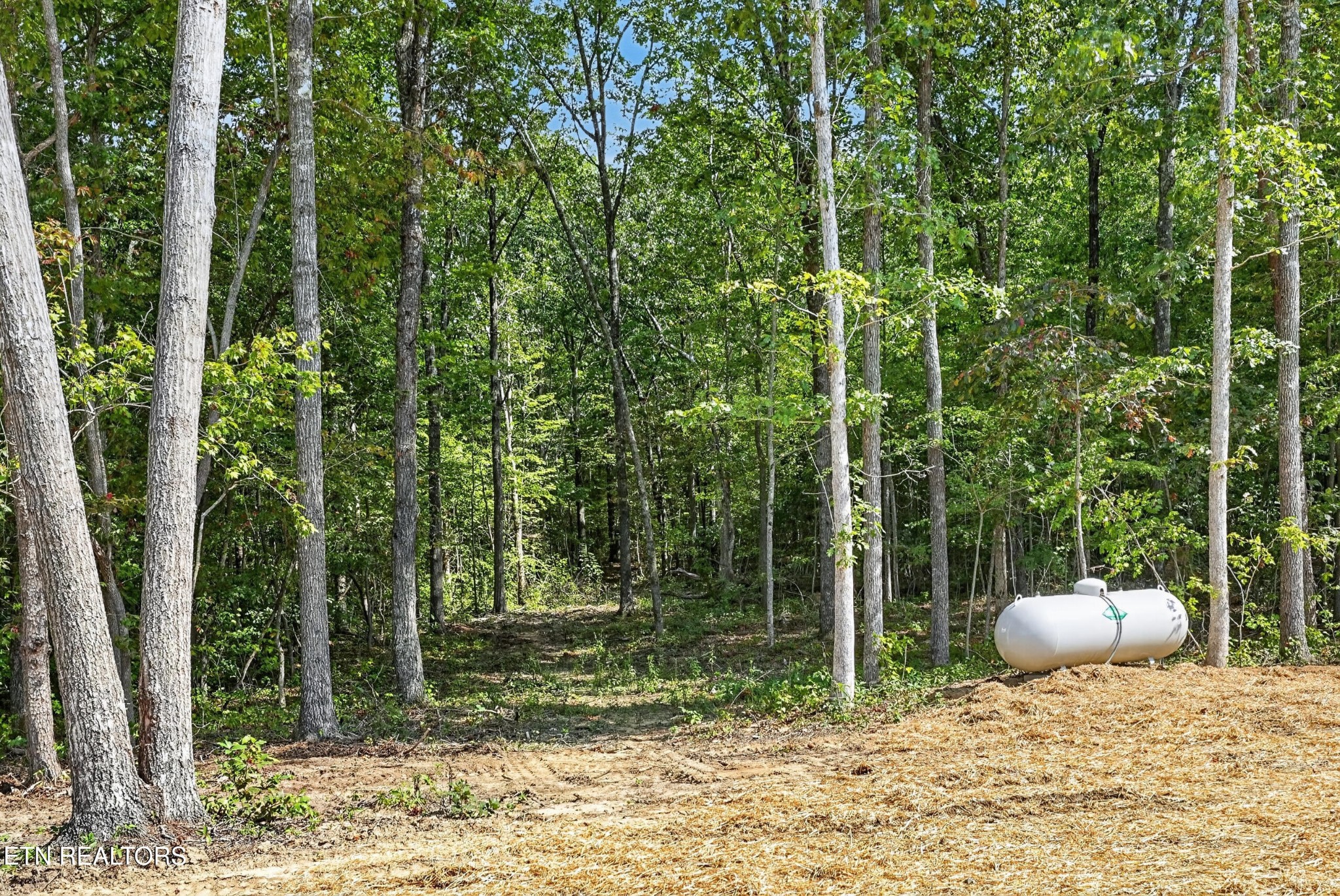 22137 Clarkrange Hwy Property Photo 48