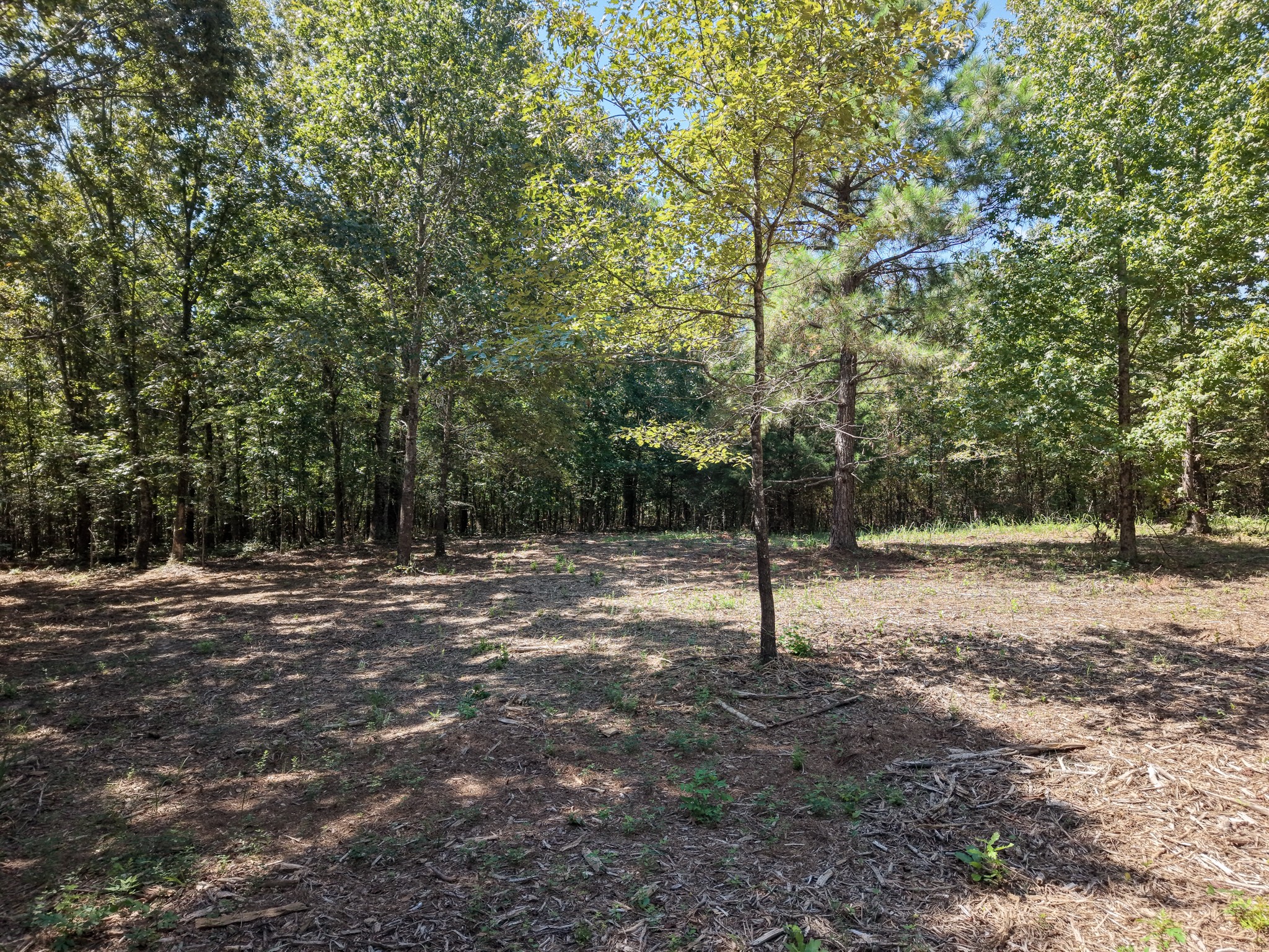 0 Point Mason Rd Property Photo 8