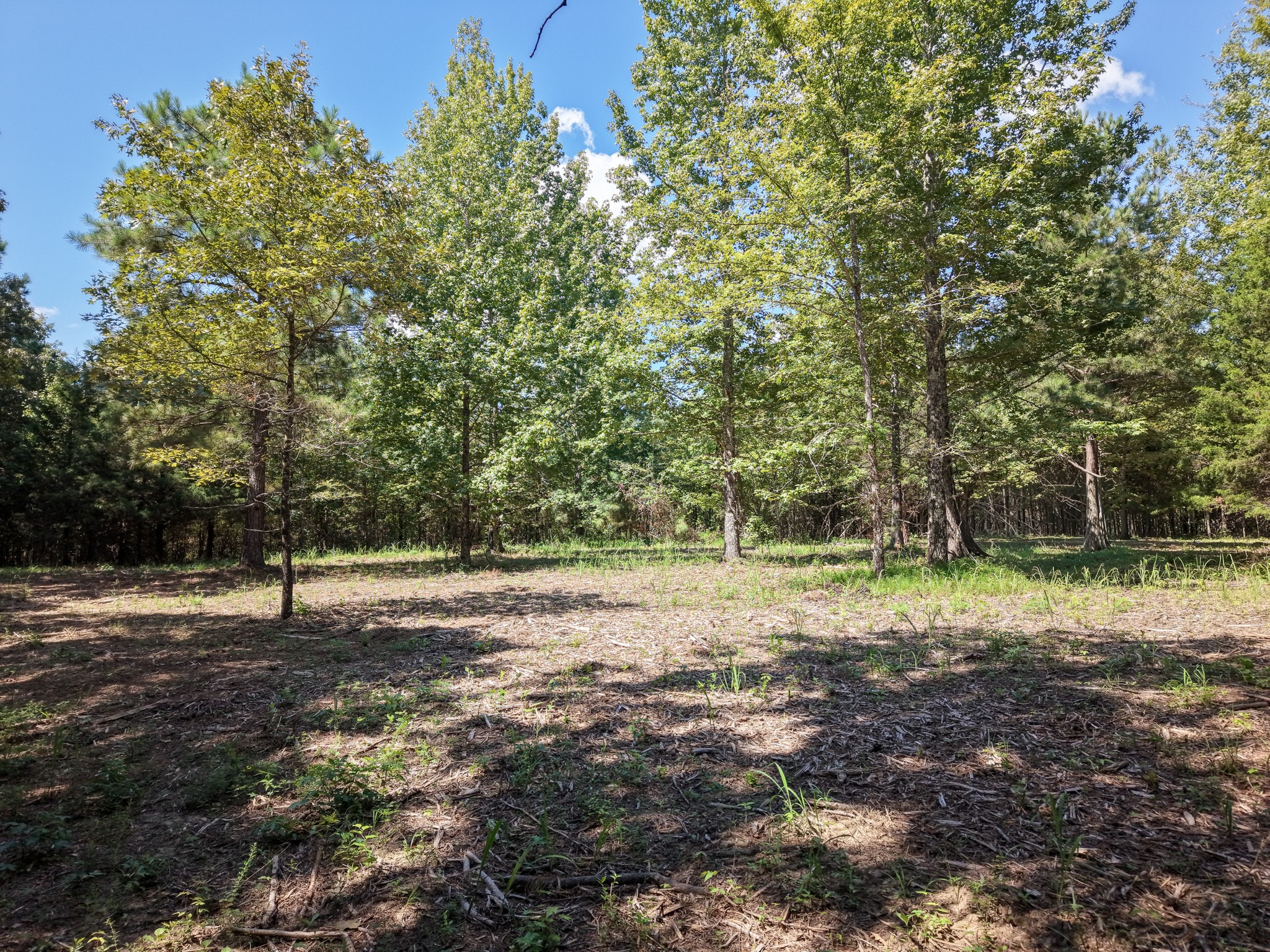 0 Point Mason Rd Property Photo 11