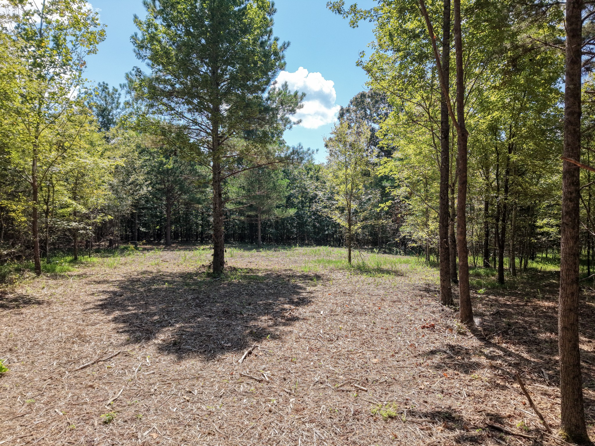 0 Point Mason Rd Property Photo 12