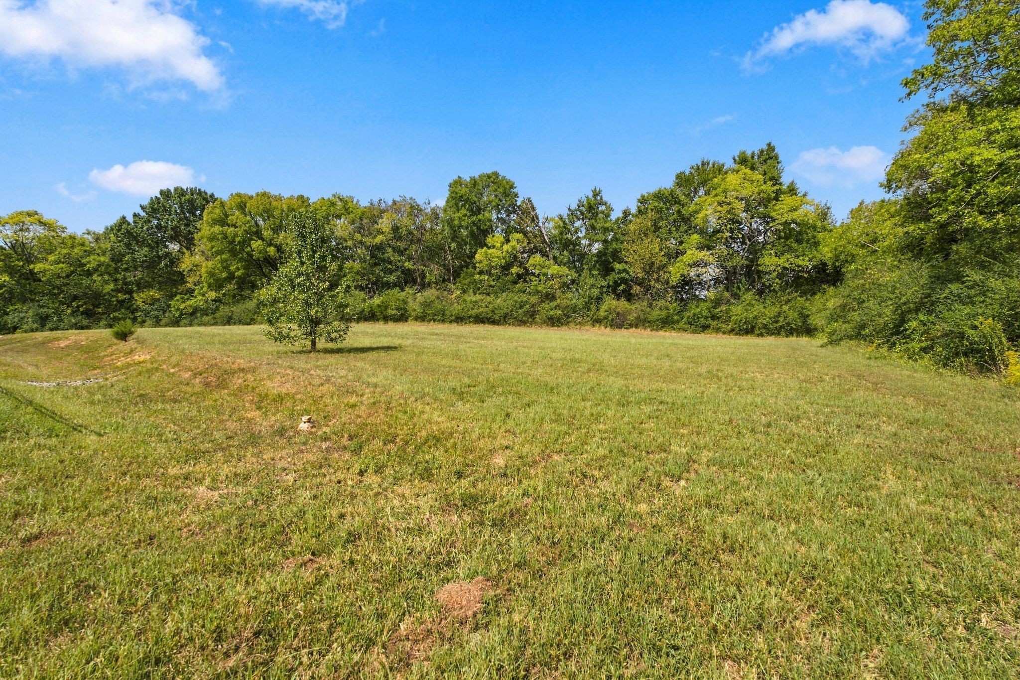 1322 Galloping Hill Way Property Photo 39