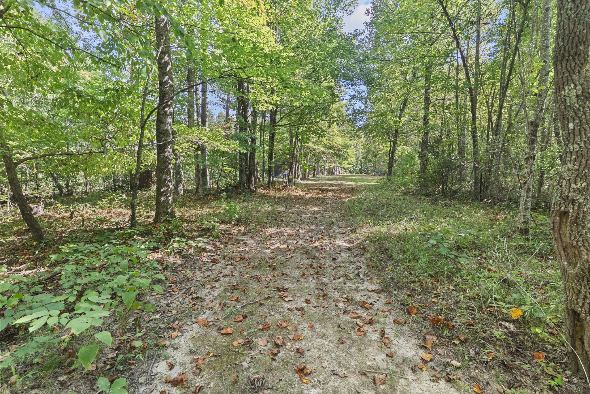 625 Meadows Ln Property Photo 10