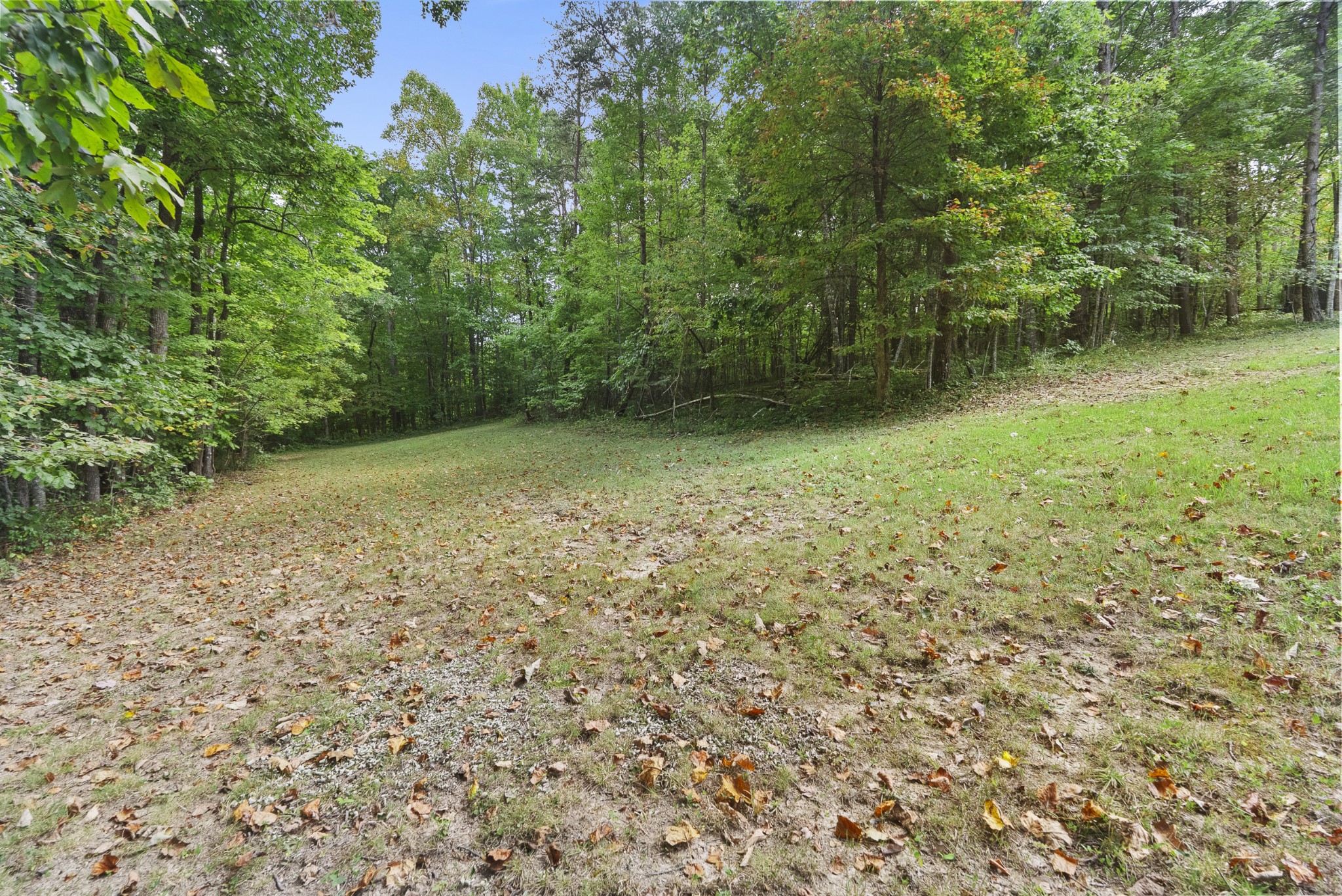 625 Meadows Ln Property Photo 13