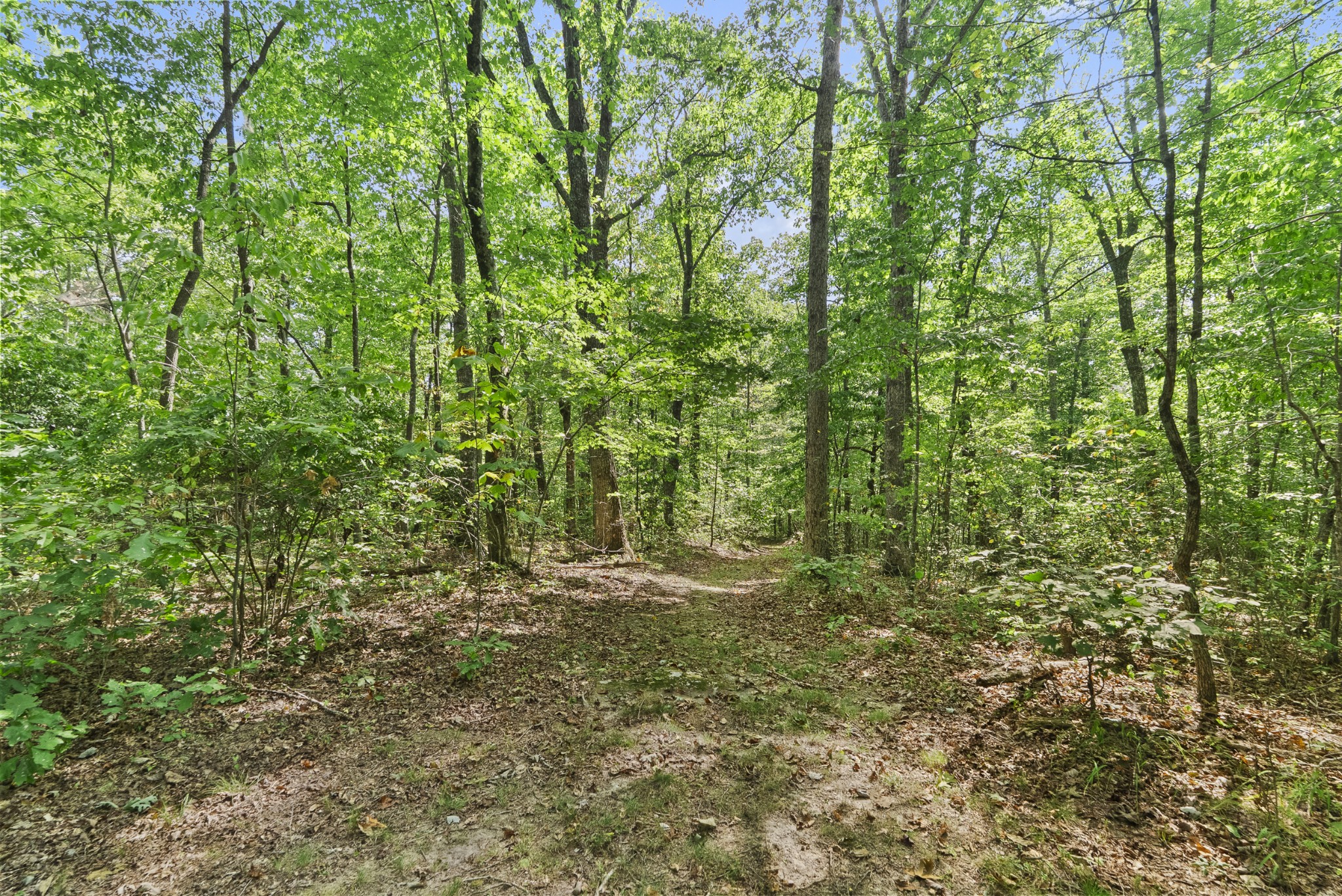 625 Meadows Ln Property Photo 30