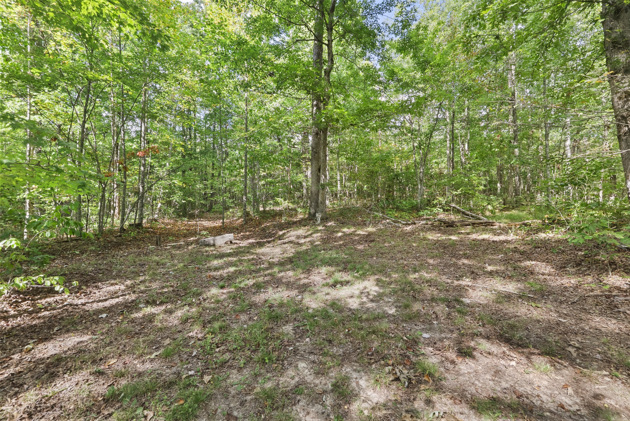 625 Meadows Ln Property Photo 31