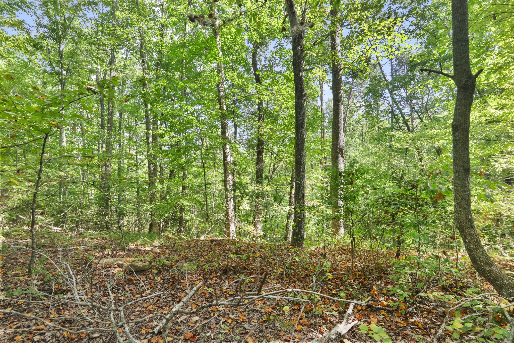 625 Meadows Ln Property Photo 32