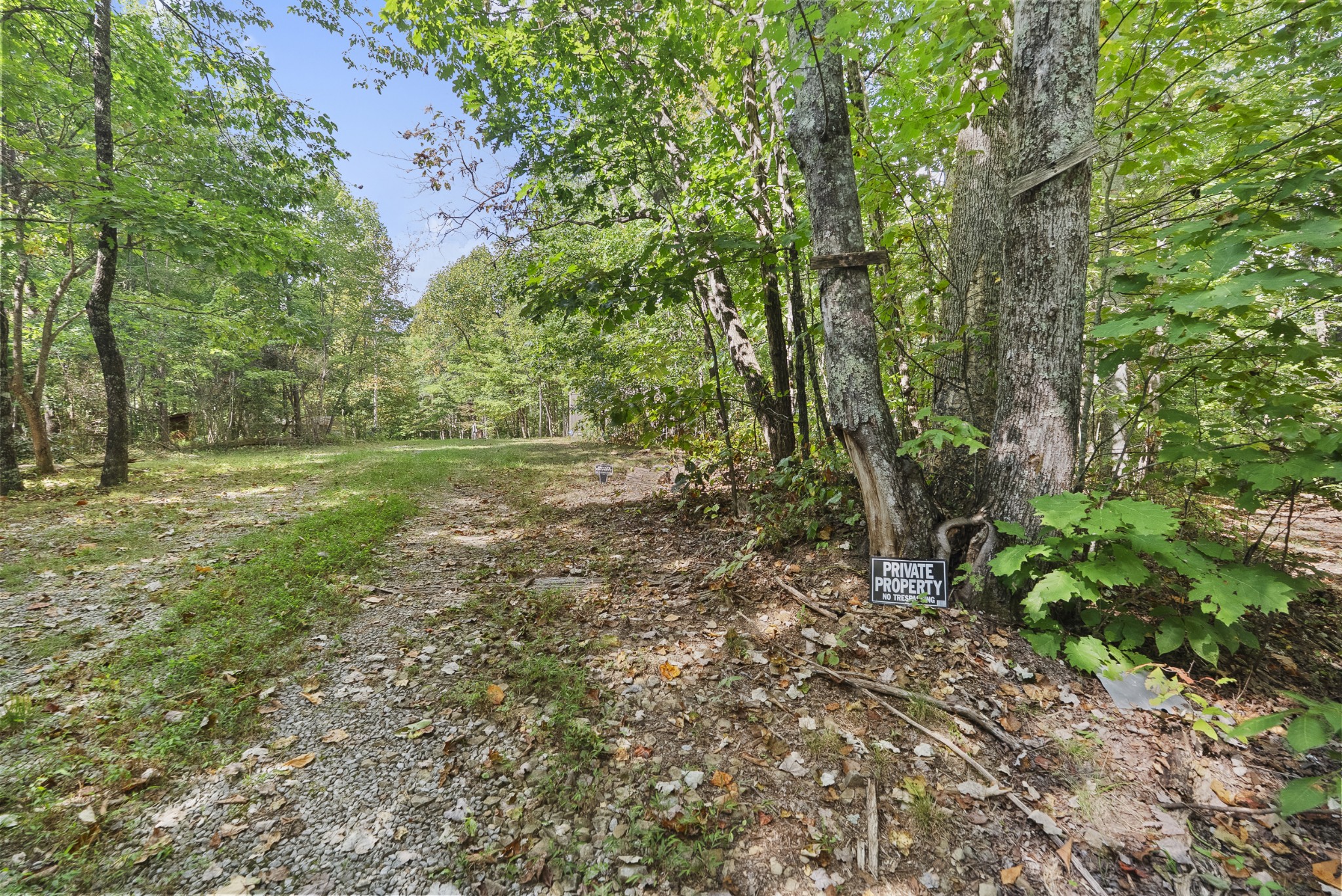 625 Meadows Ln Property Photo 37