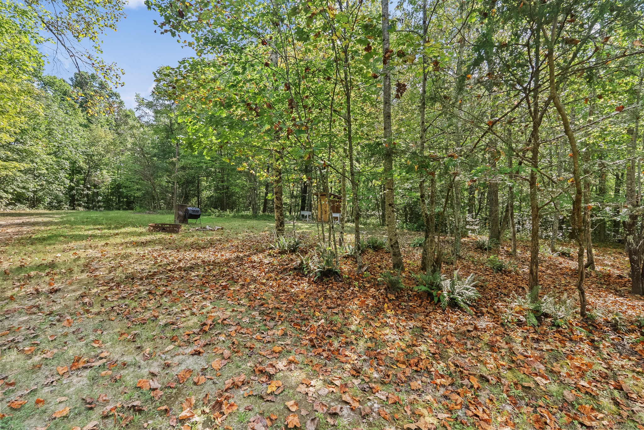 625 Meadows Ln Property Photo 39