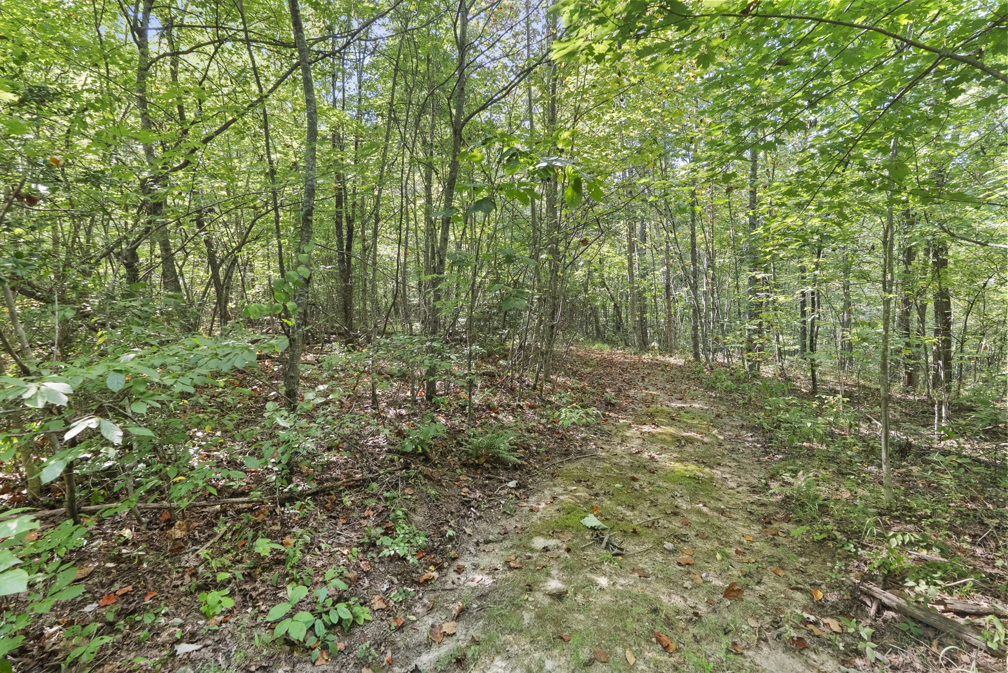 625 Meadows Ln Property Photo 41