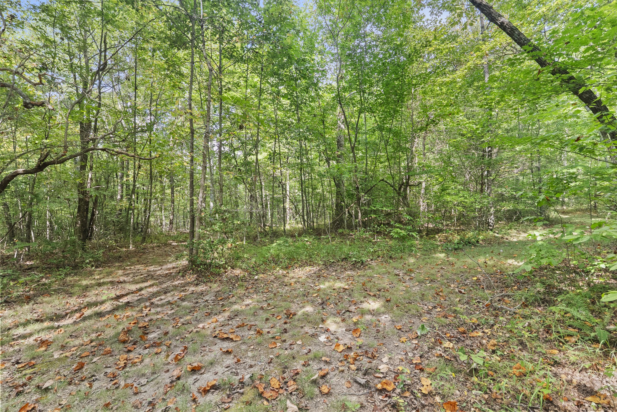 625 Meadows Ln Property Photo 43
