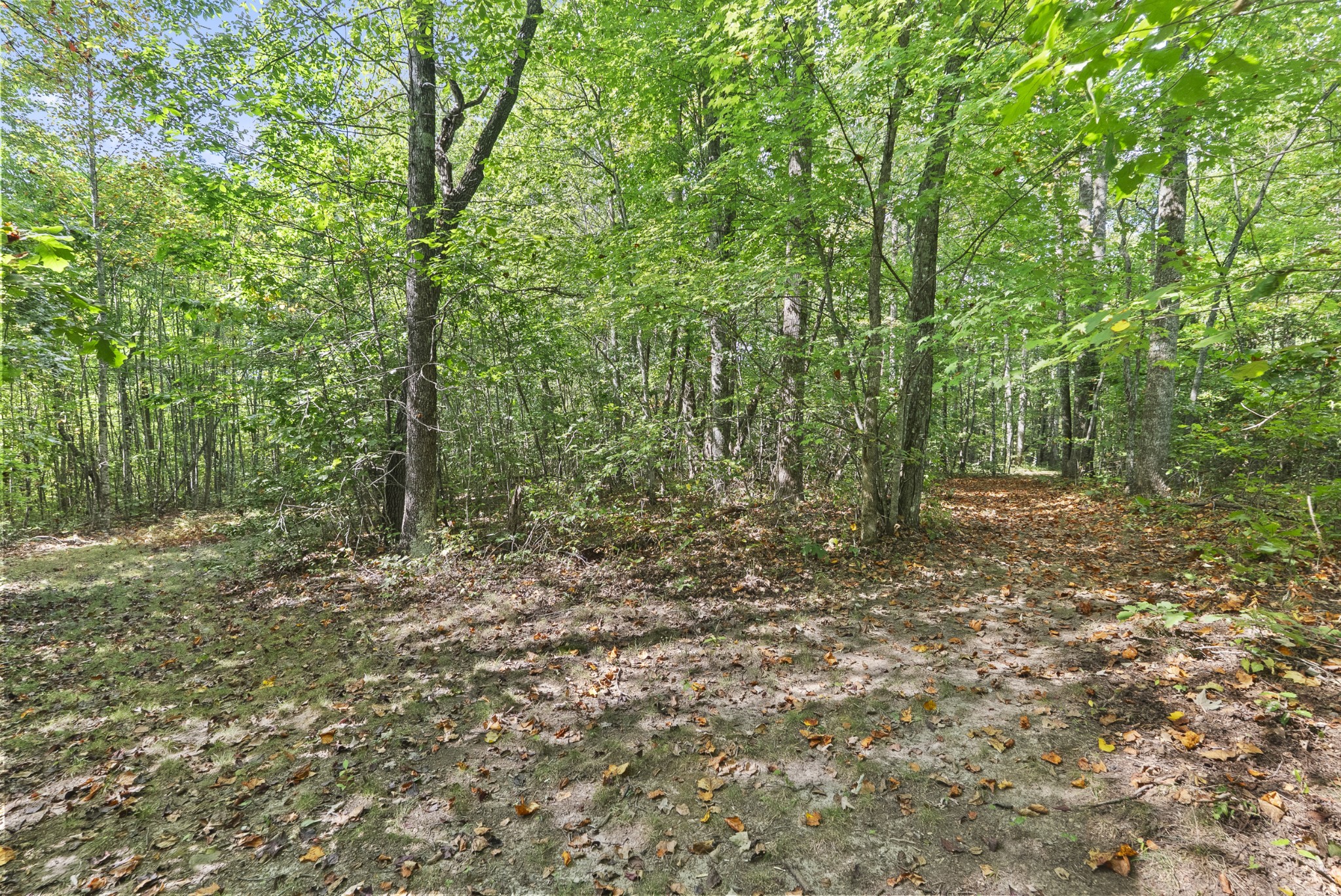 625 Meadows Ln Property Photo 45