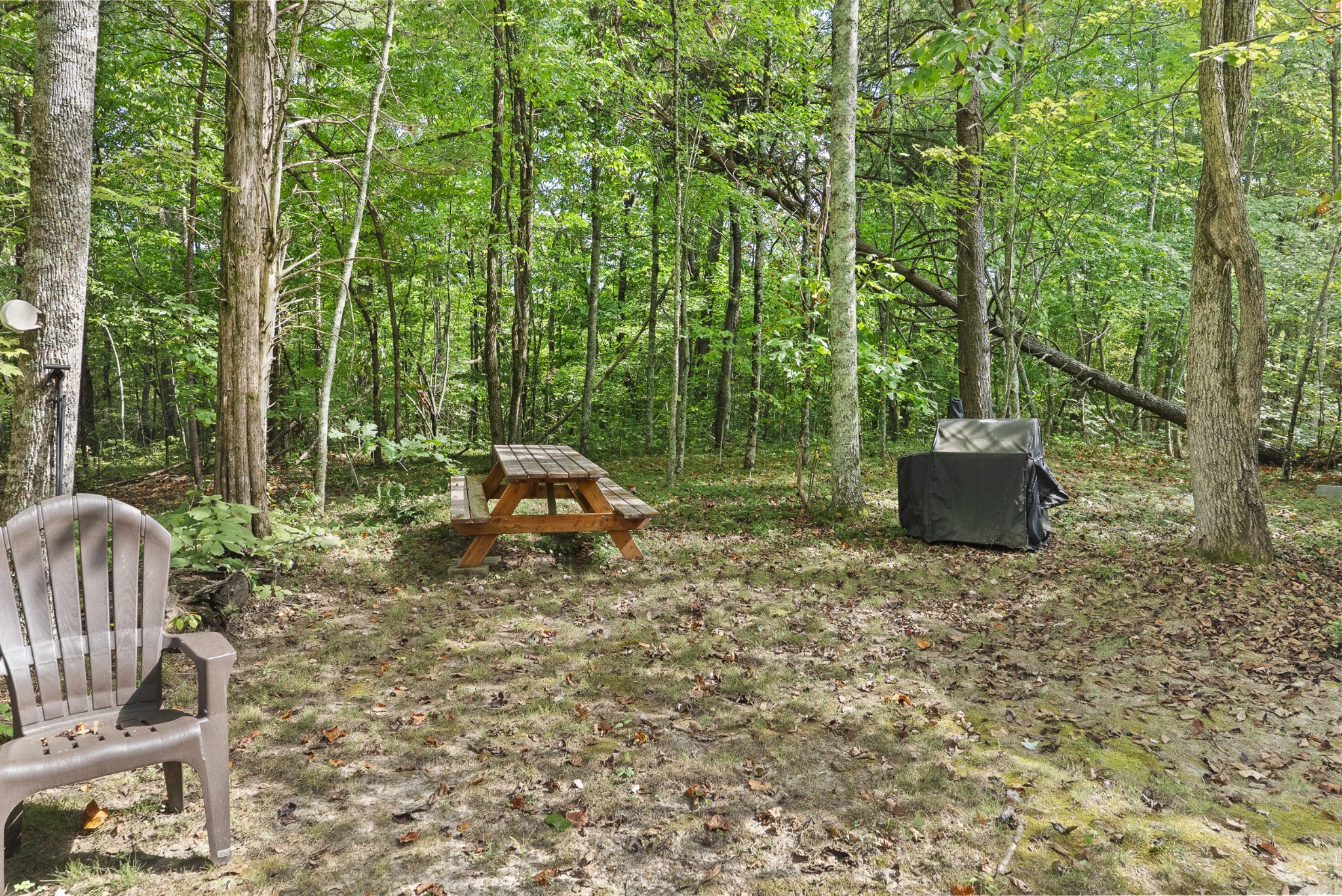 625 Meadows Ln Property Photo 53