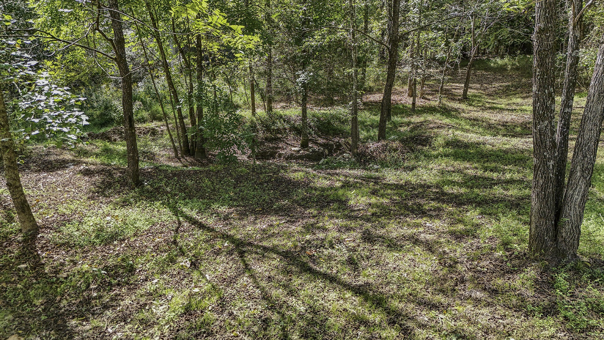 52 Chapman Drive Property Photo 44