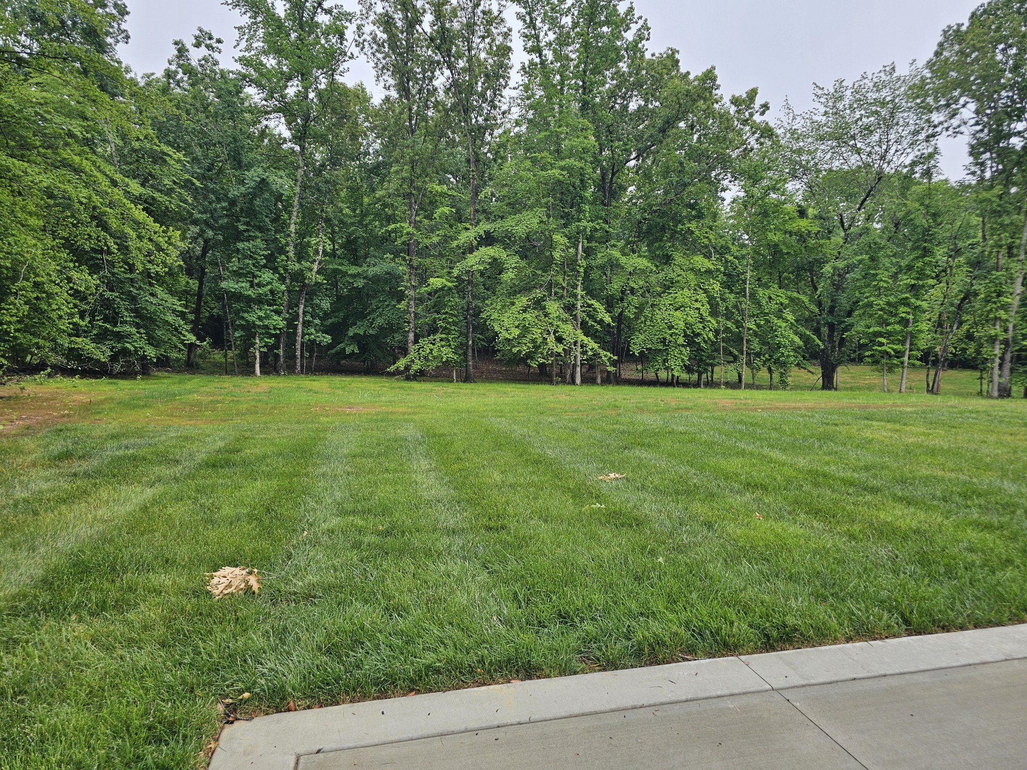 1280 Reda Dr Property Photo 48