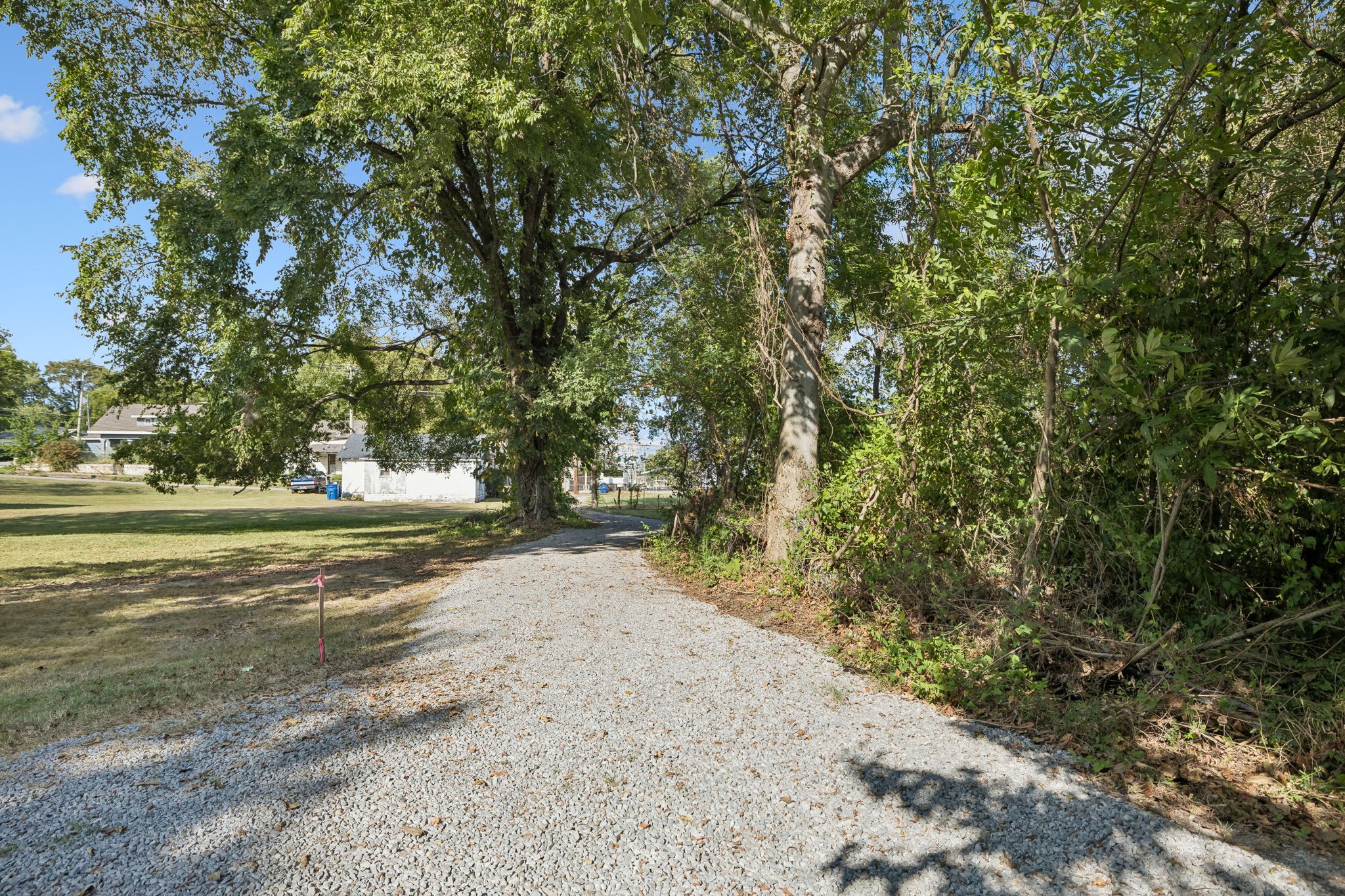 209 Olive St Property Photo 44