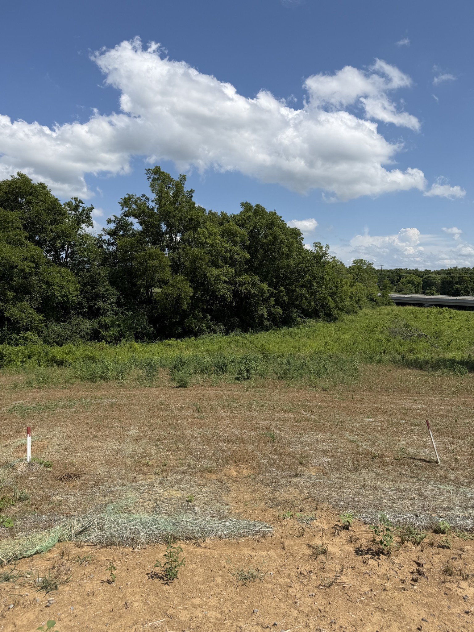 1140 Old Creek Bend Property Photo 9