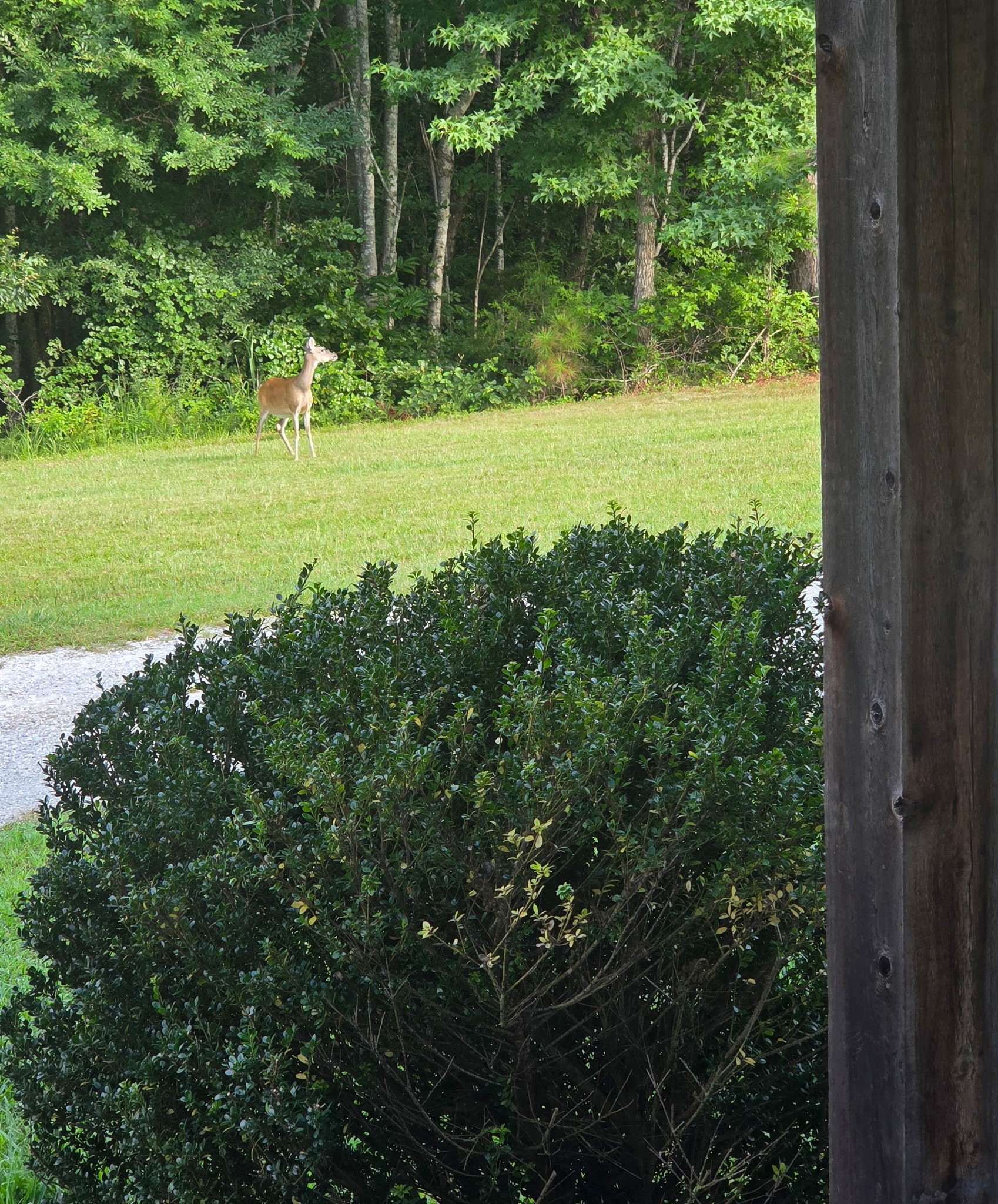 2428 Old Natchez Trace Trl Property Photo 53