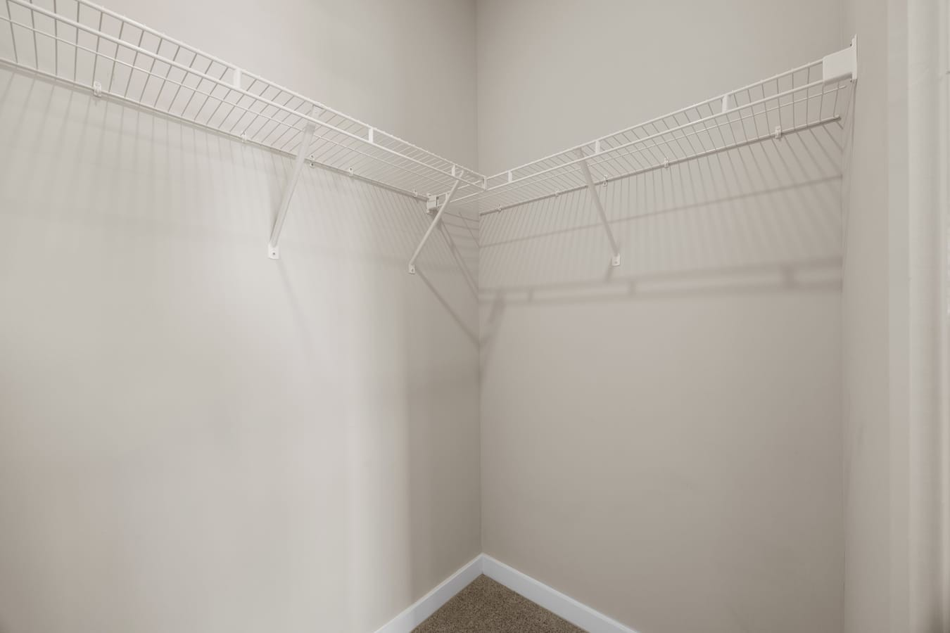 104 Southwind Run Property Photo 29