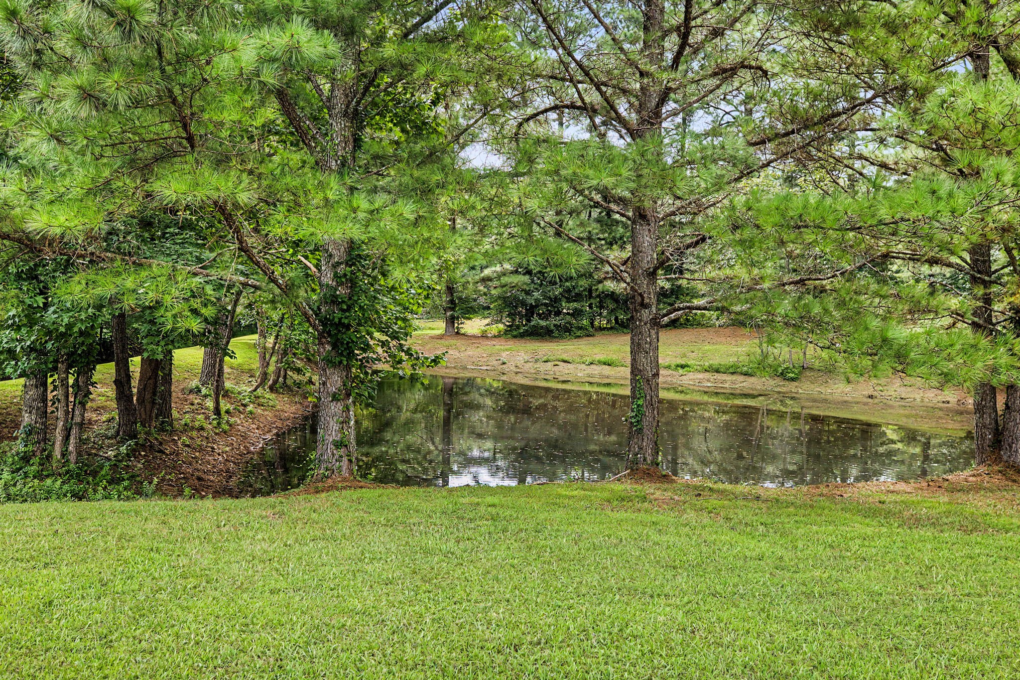 521 Ellis Ln Property Photo 37
