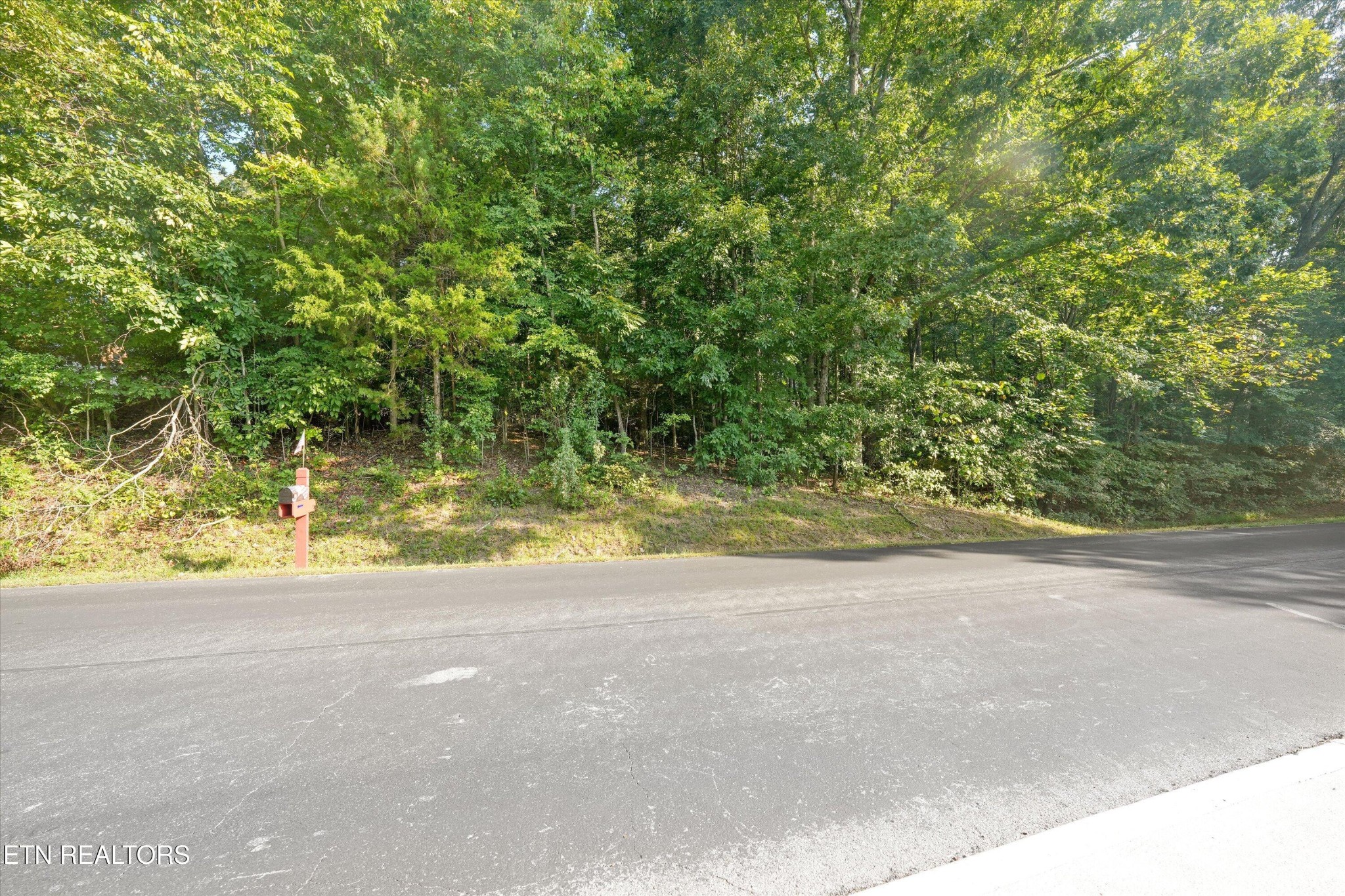 103 Oostagala Drive Property Photo 1