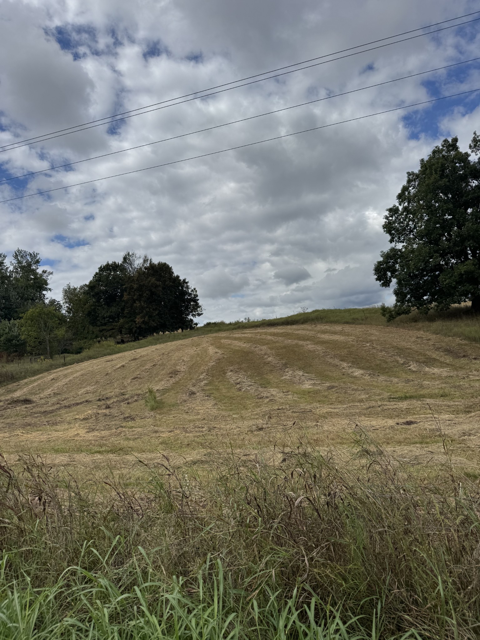 201 Perrigo Ln Property Photo 1