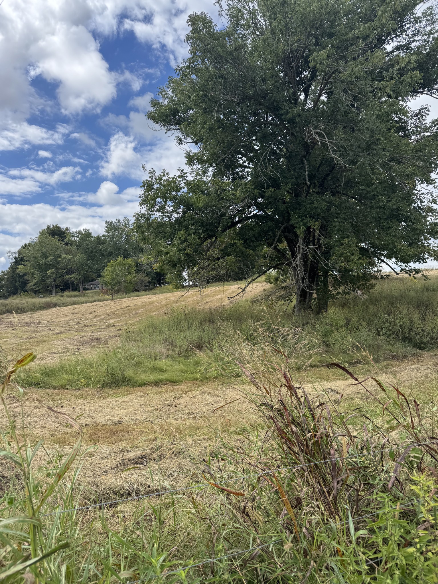 201 Perrigo Ln Property Photo 3