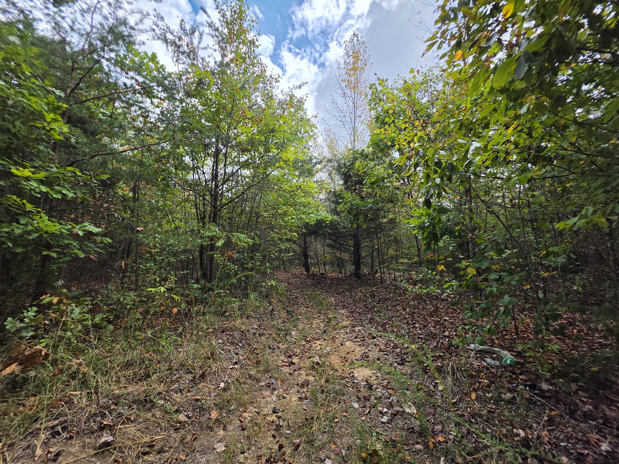 9 Myers Town Road Property Photo 4