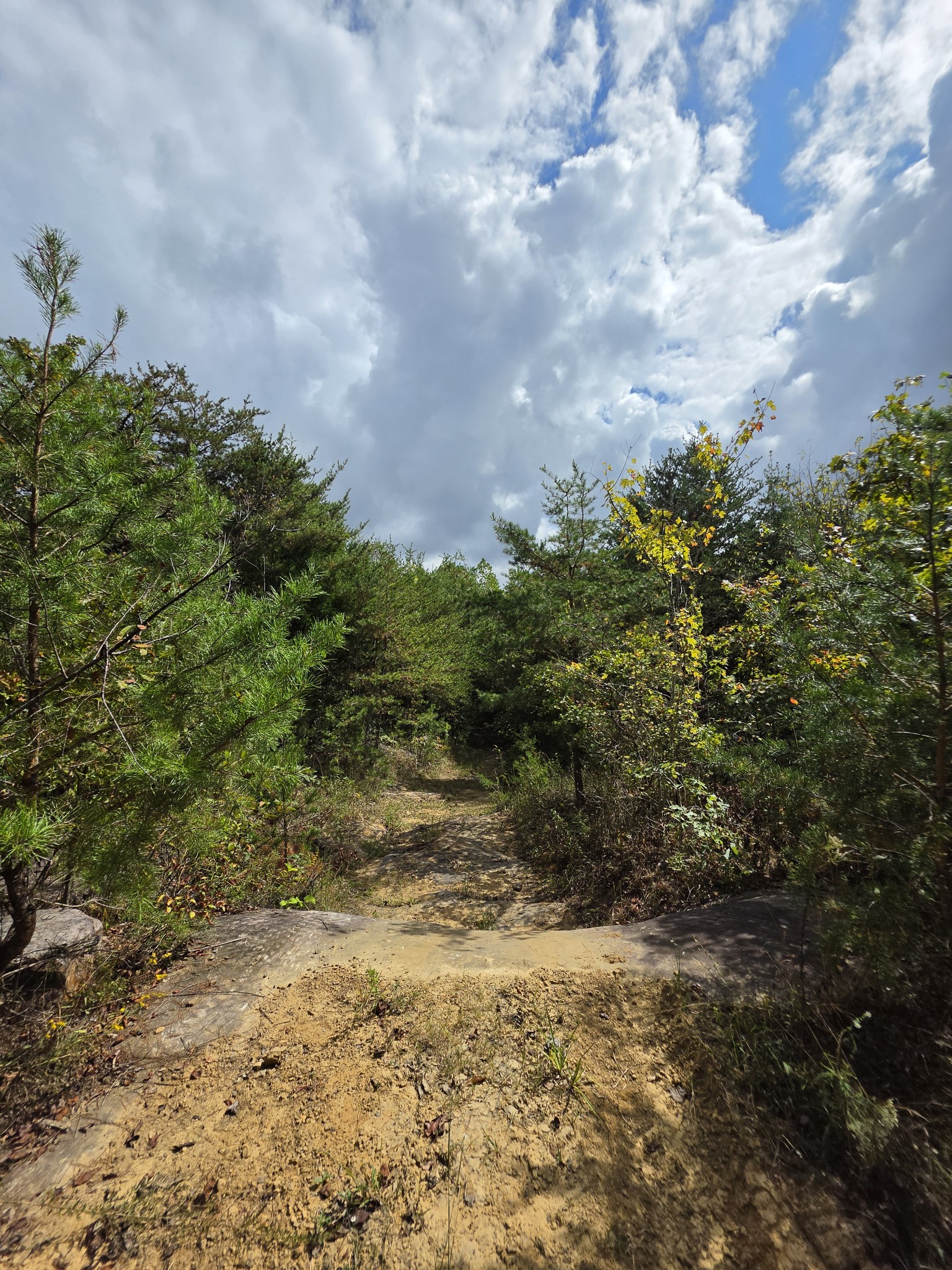 9 Myers Town Road Property Photo 5