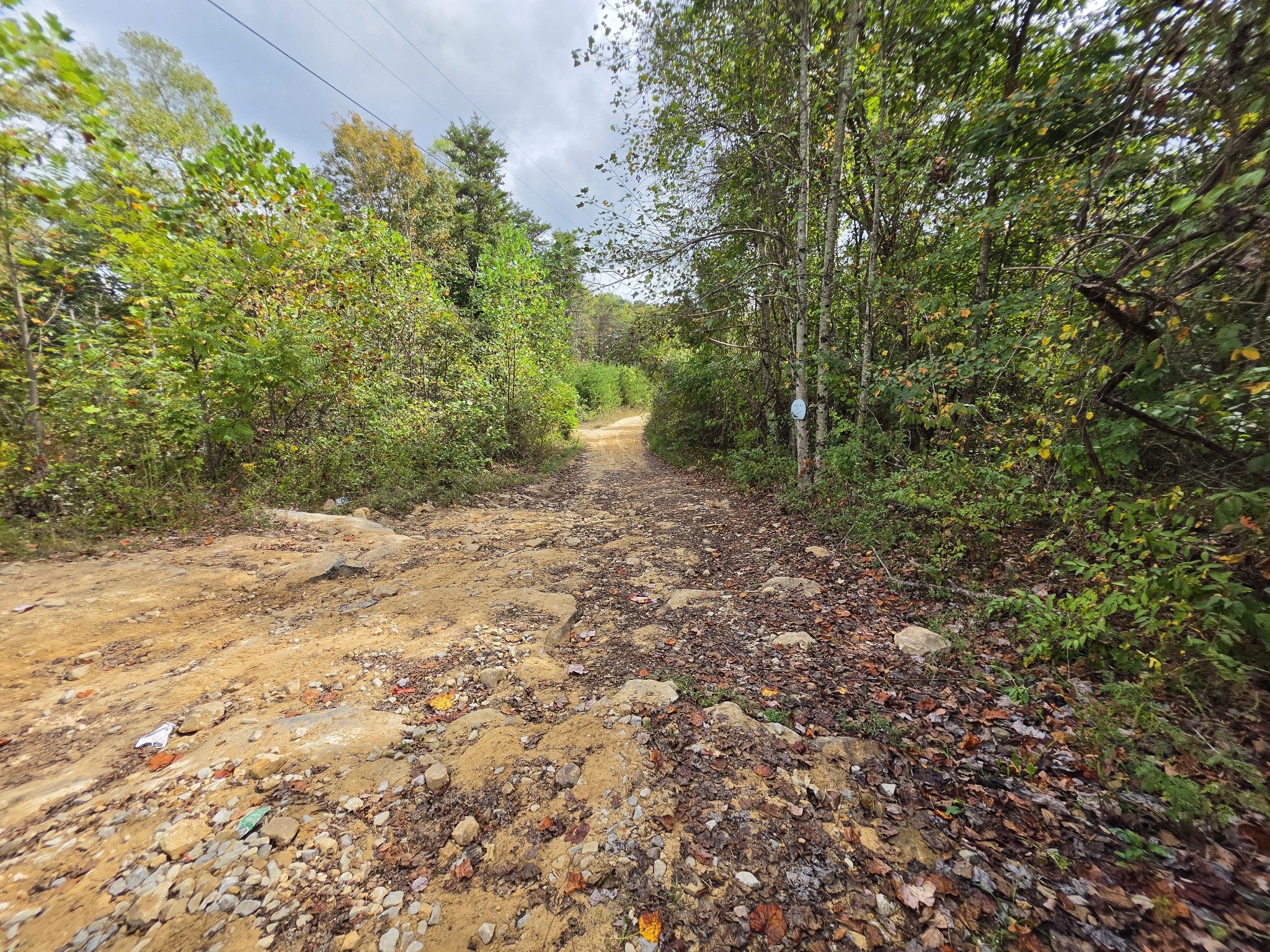 9 Myers Town Road Property Photo 8