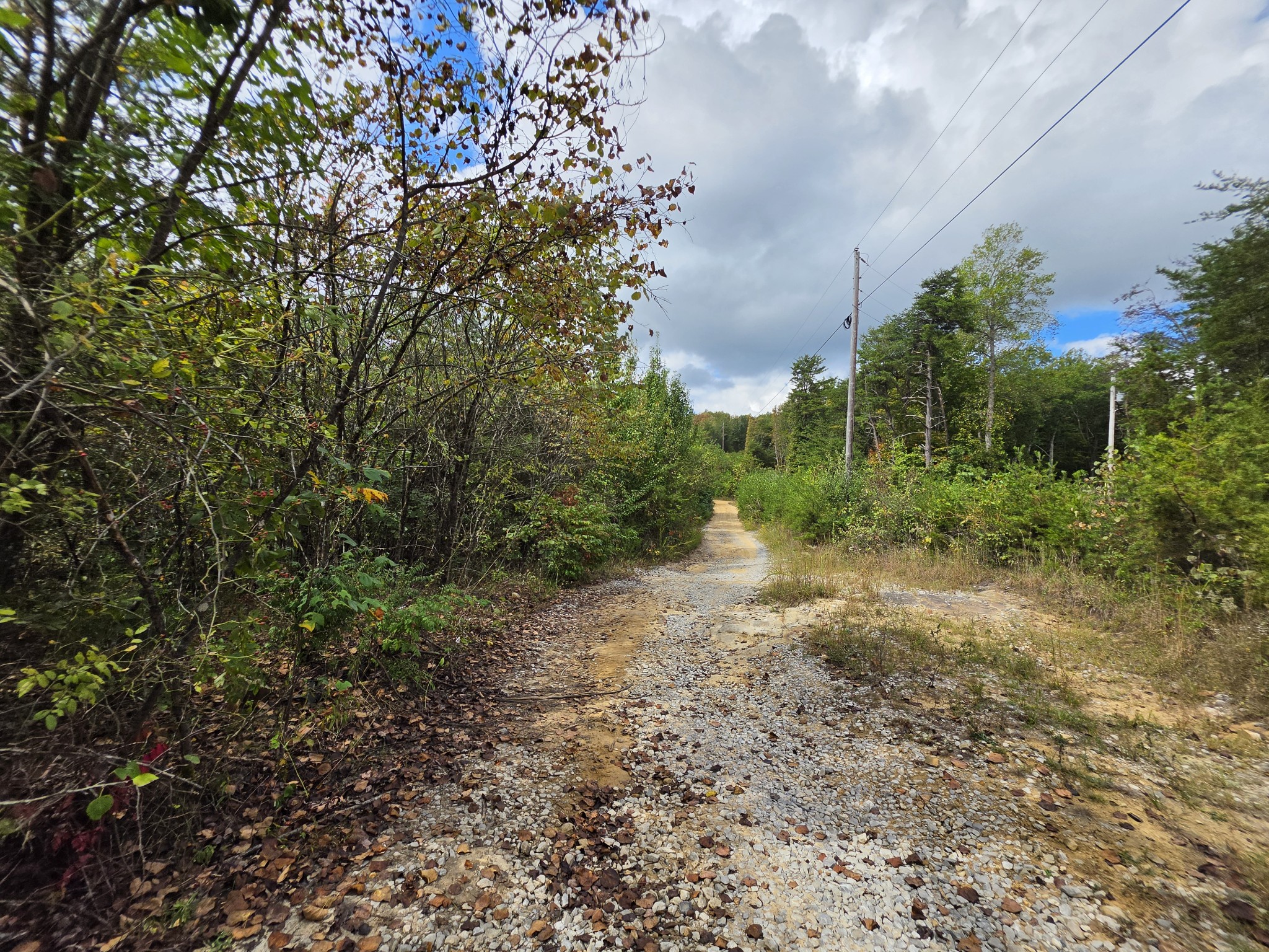 9 Myers Town Road Property Photo 12
