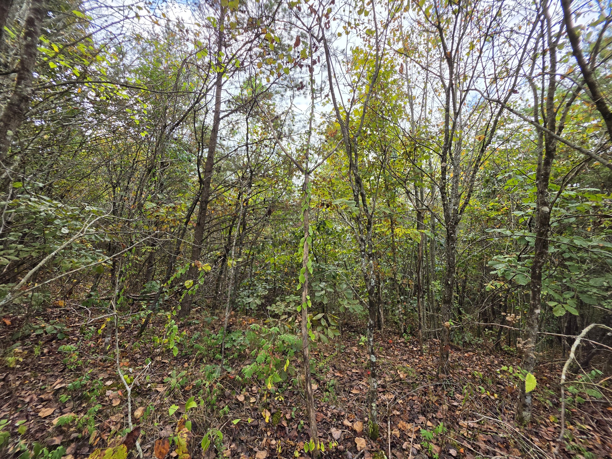 9 Myers Town Road Property Photo 13