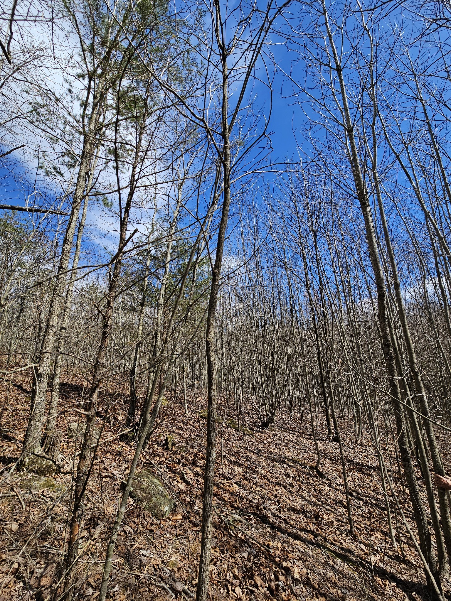 9 Myers Town Road Property Photo 16