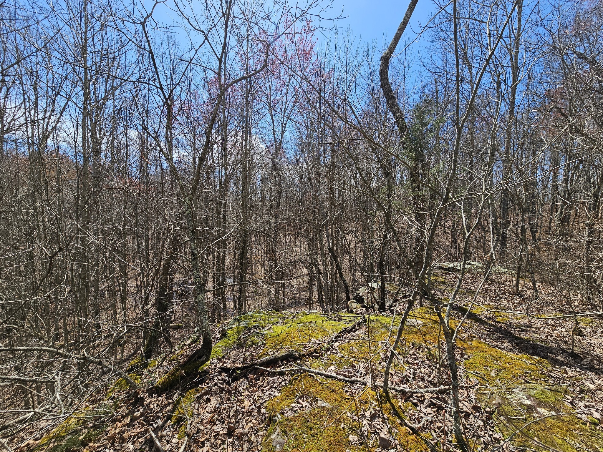 9 Myers Town Road Property Photo 17