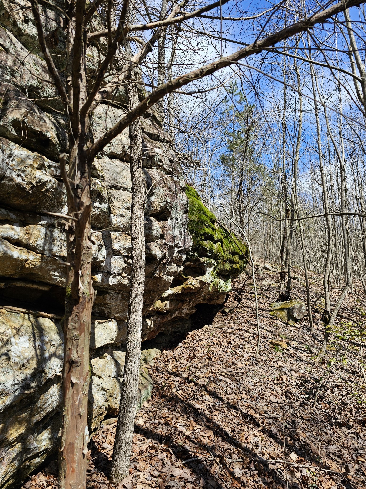 9 Myers Town Road Property Photo 18