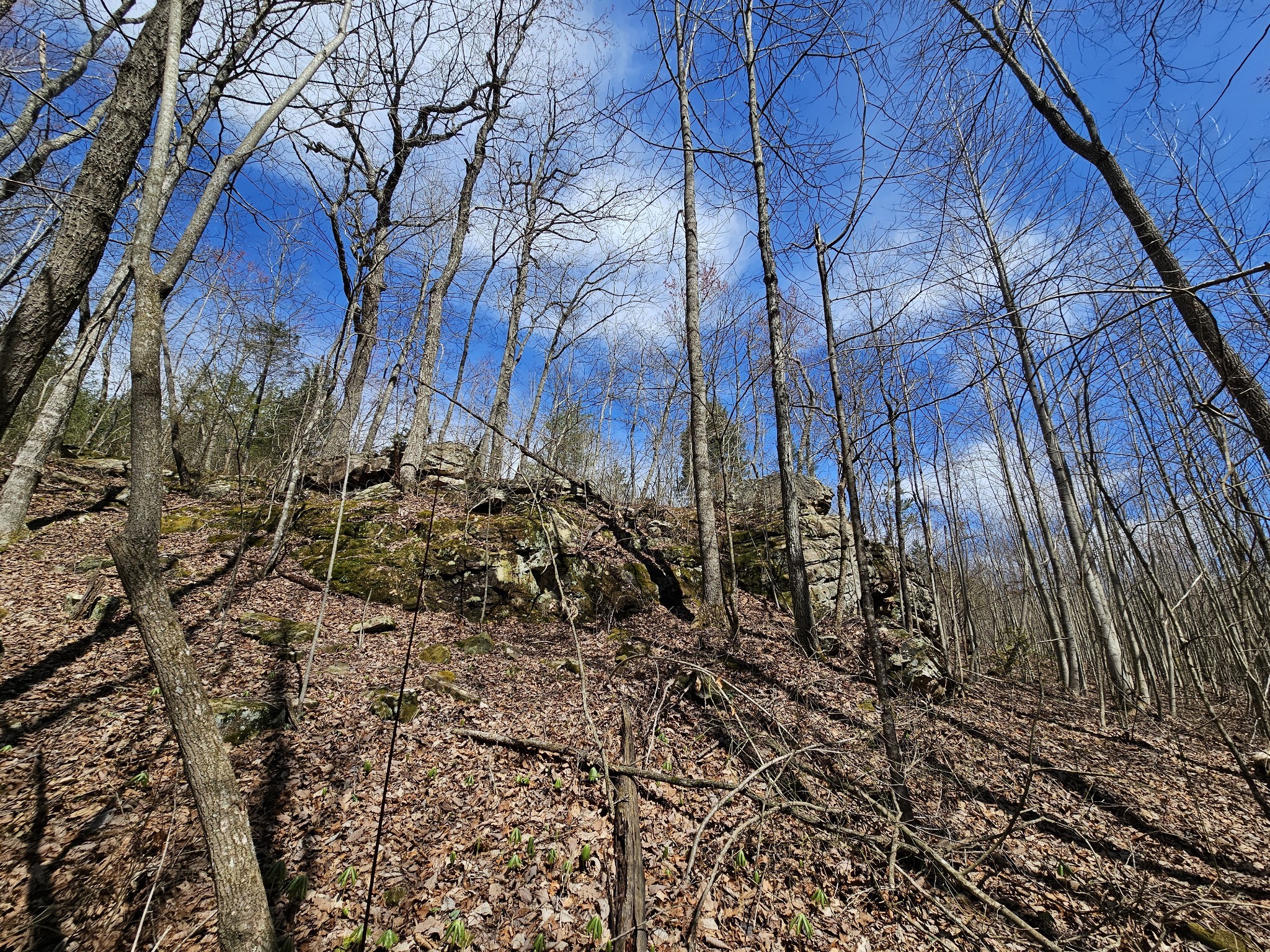 9 Myers Town Road Property Photo 19